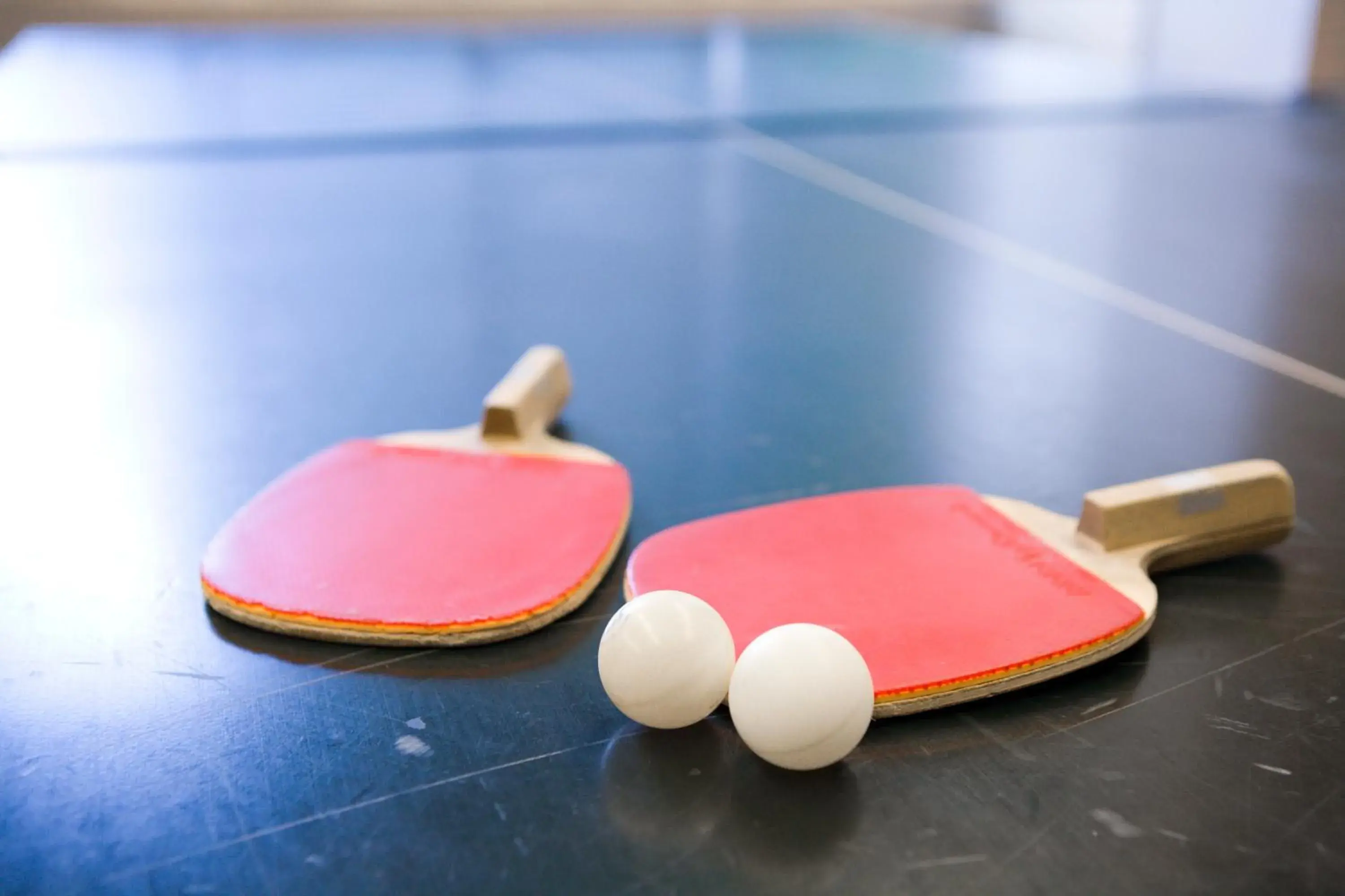 Activities, Table Tennis in Ogoto Onsen Yunoyado Komolebi Ryokan