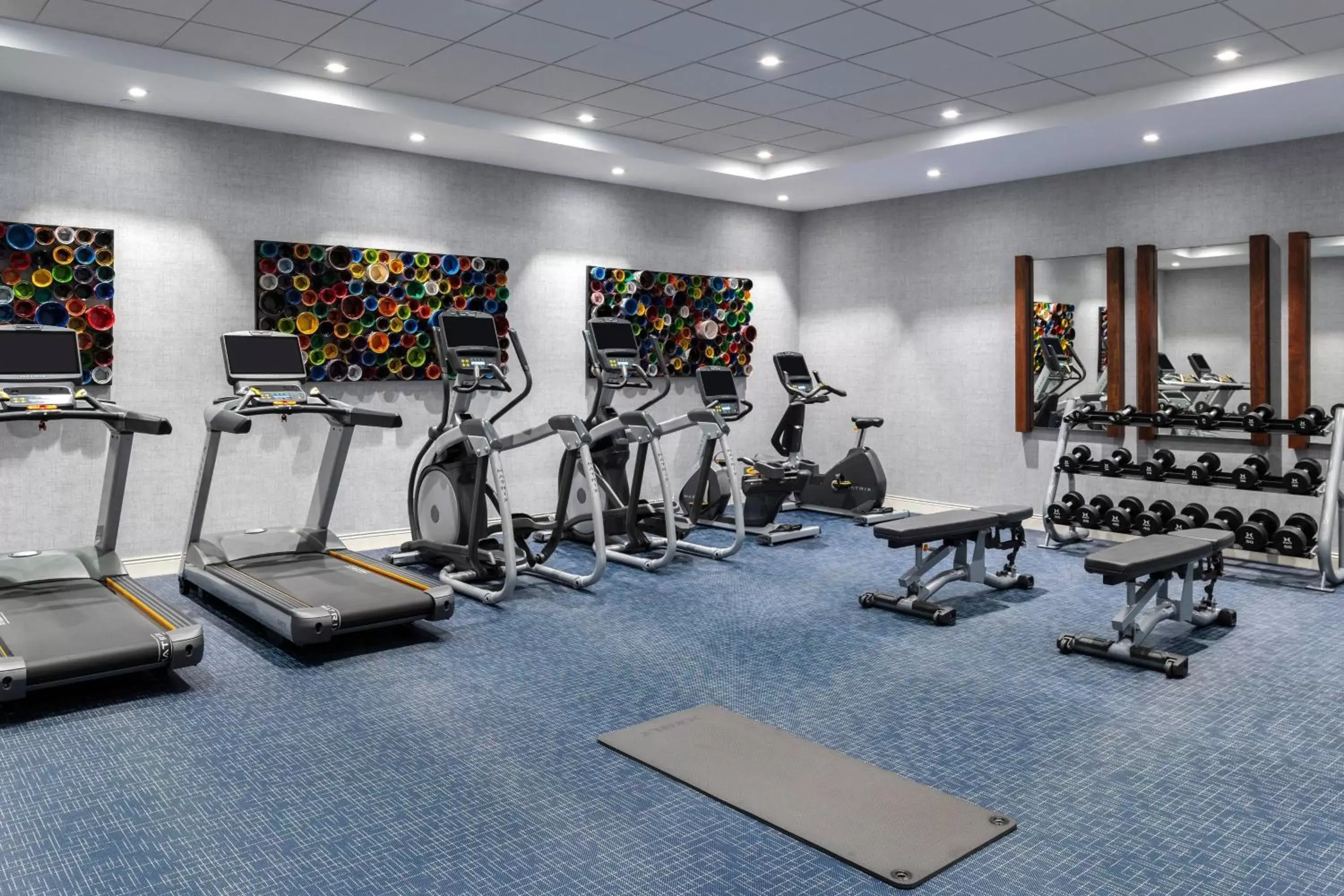 Fitness centre/facilities, Fitness Center/Facilities in Residence Inn by Marriott Boston Natick
