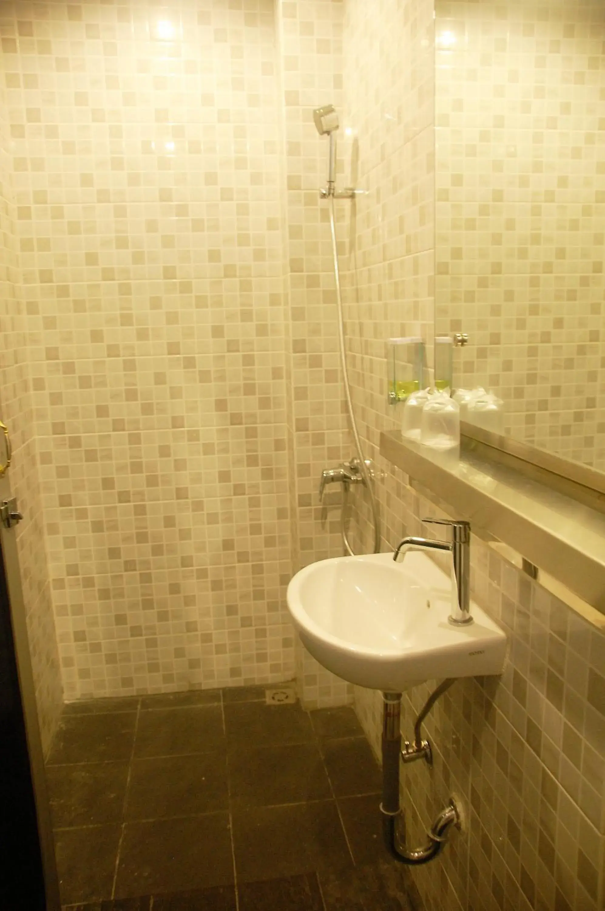 Shower, Bathroom in Gandhi Inn