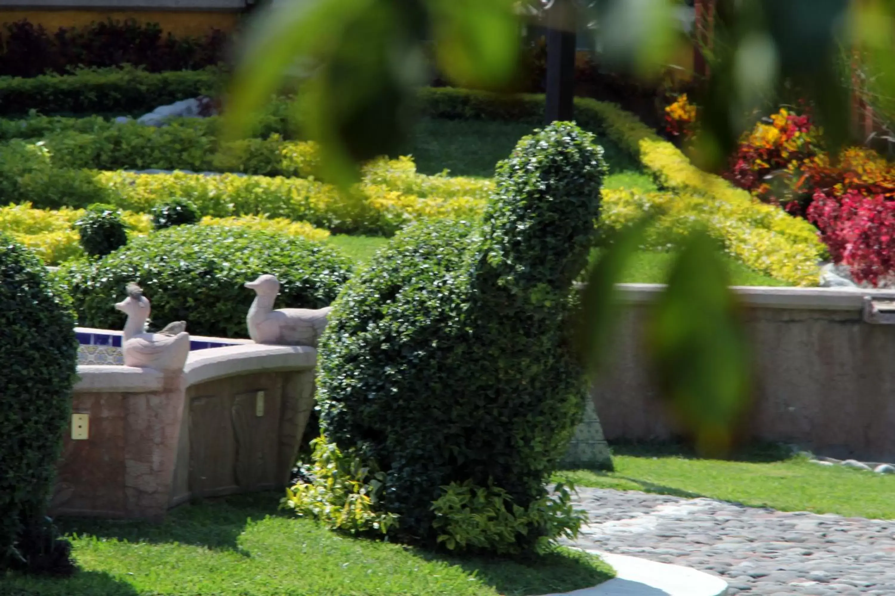 Garden in Hotel La Villa Real