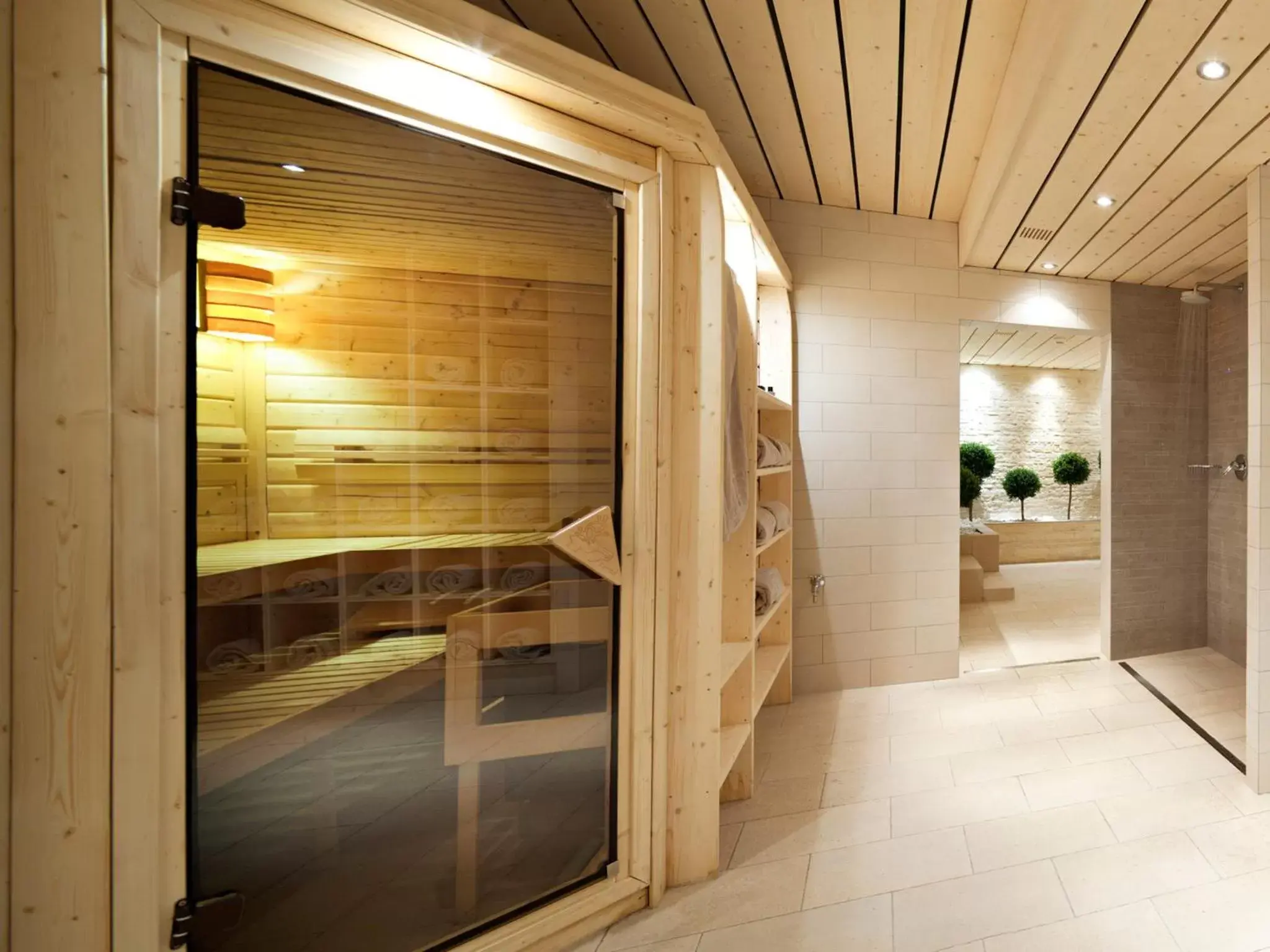 Spa and wellness centre/facilities in Hôtel Vanessa