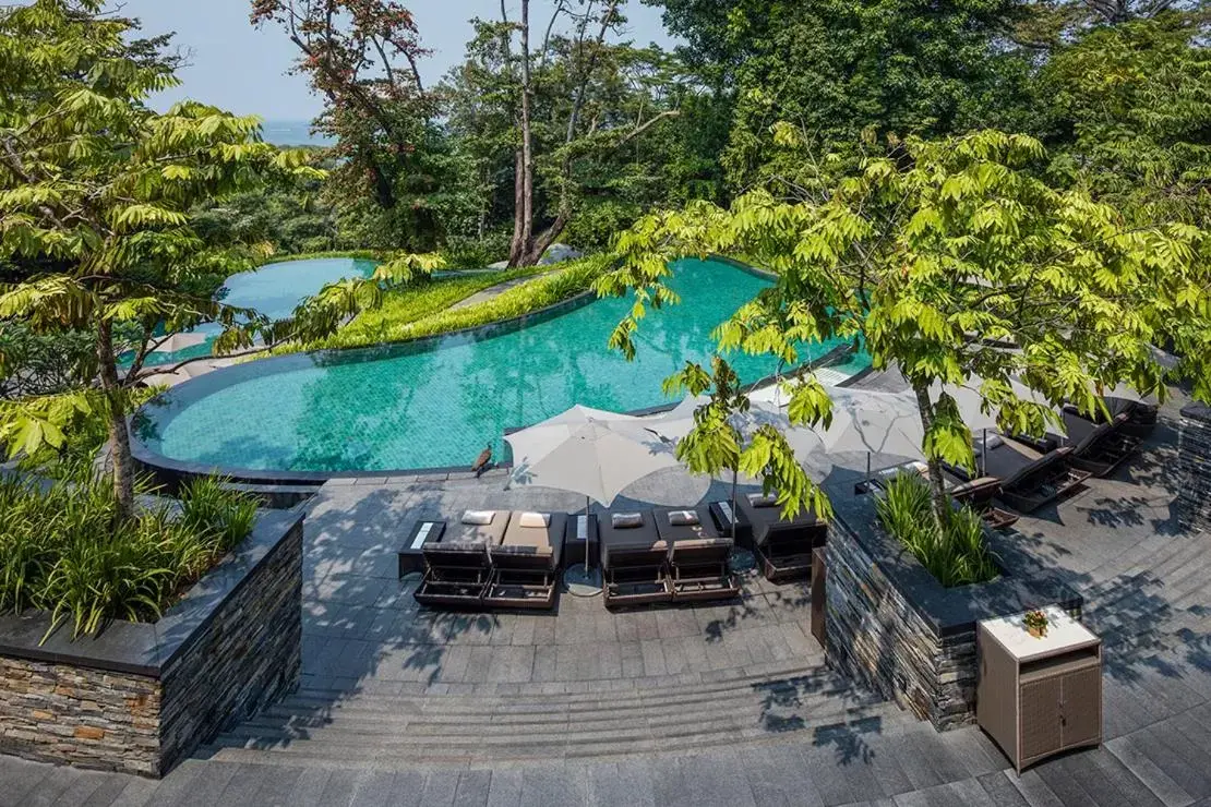 Swimming pool, Bird's-eye View in Capella Singapore