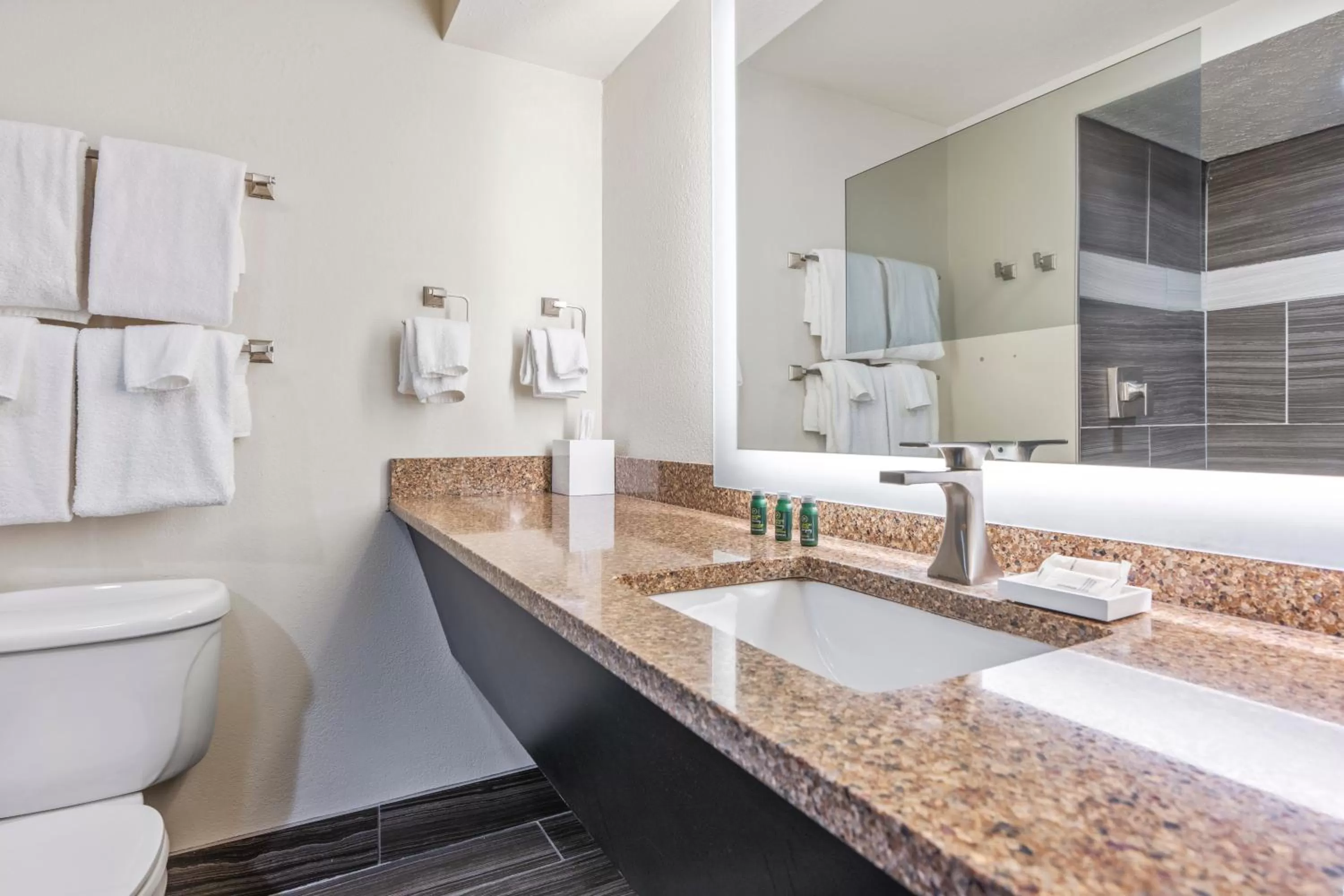 Bathroom in Cherry Tree Inn & Suites