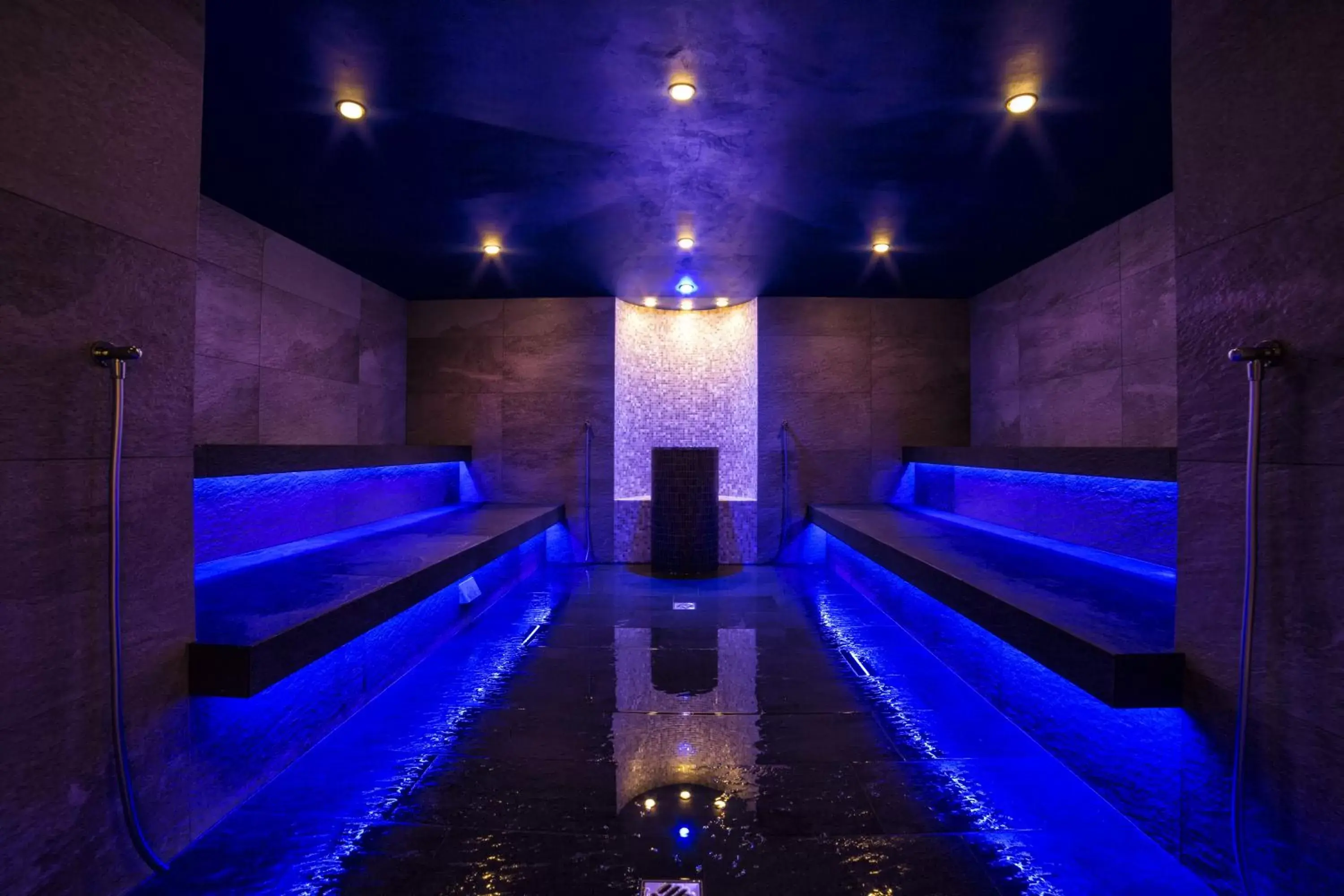 Steam room, Swimming Pool in Hotel Ideal Park