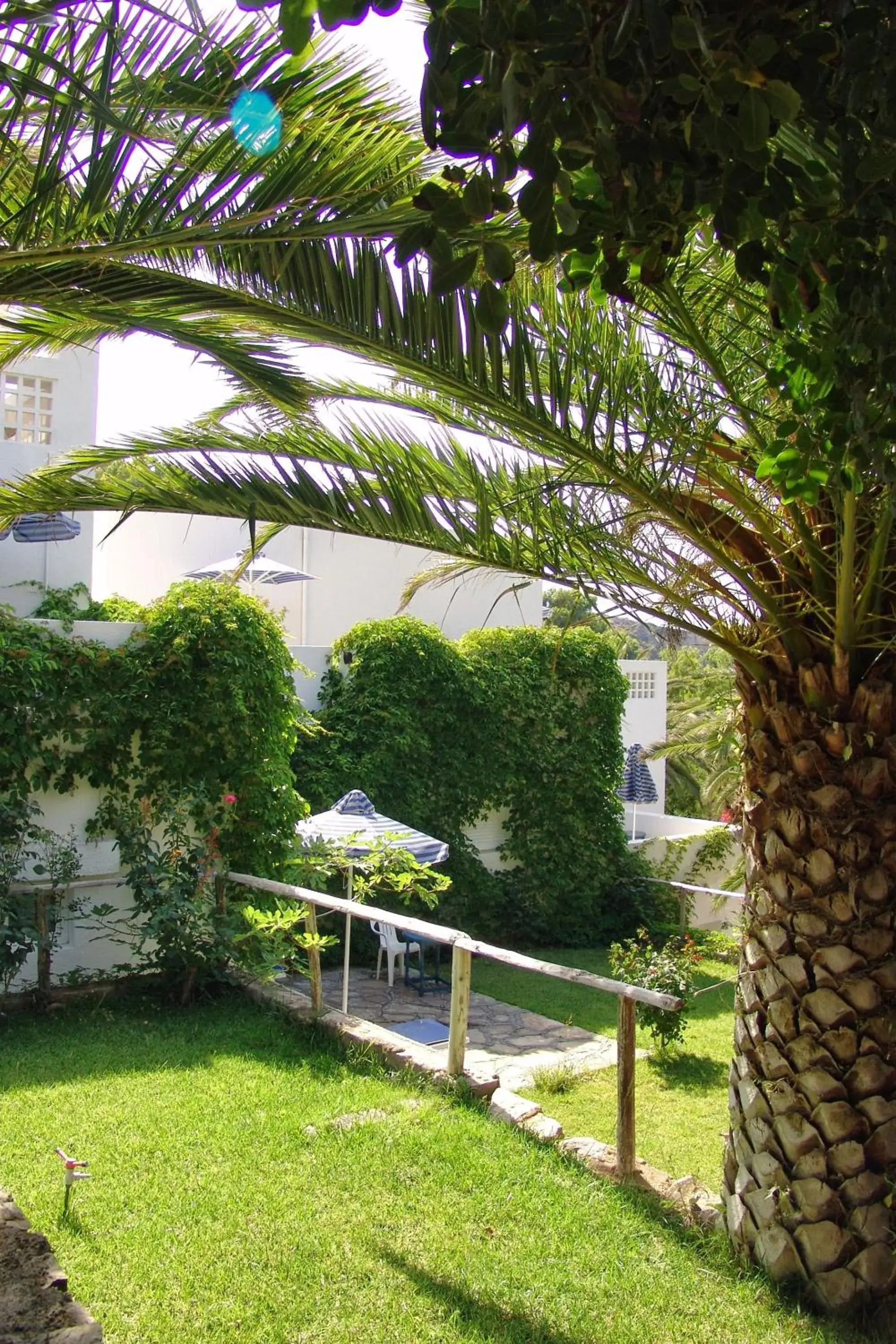 Natural landscape, Garden in Istron Bay Hotel