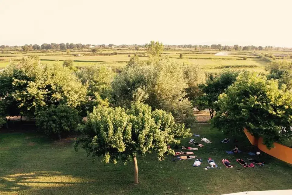 Garden in Hotel Marathia