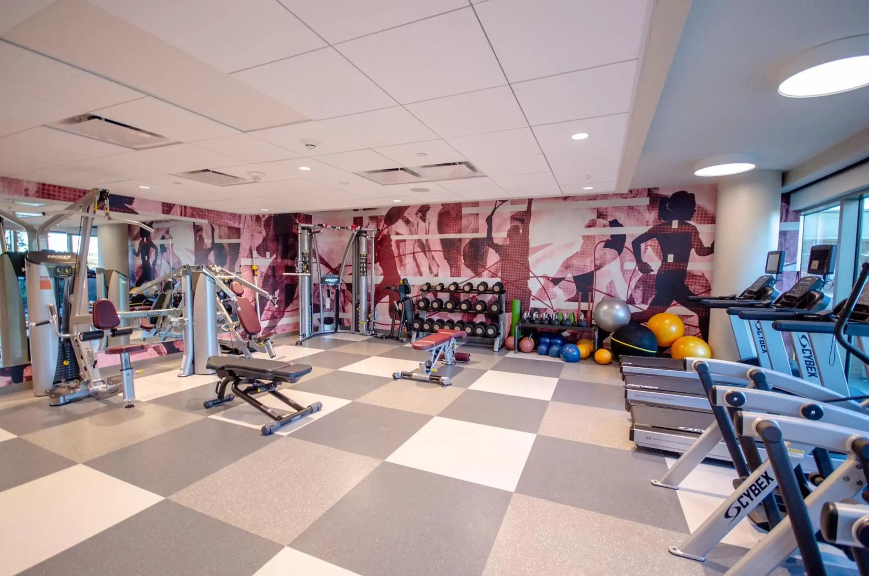 Fitness centre/facilities in Texas A&M Hotel and Conference Center Fitness centre/facilities in Texas A&M Hotel and Conference Center