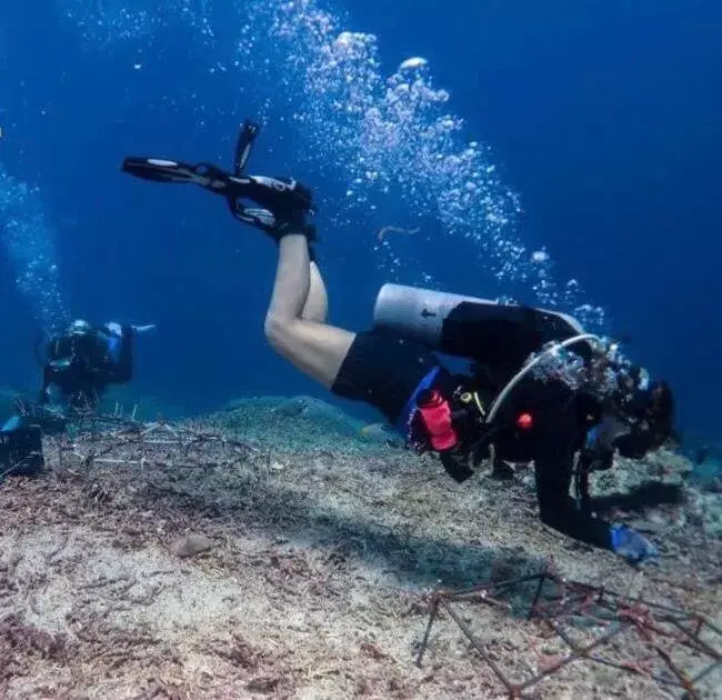 Snorkeling/Diving in Oceans 5 Dive Resort