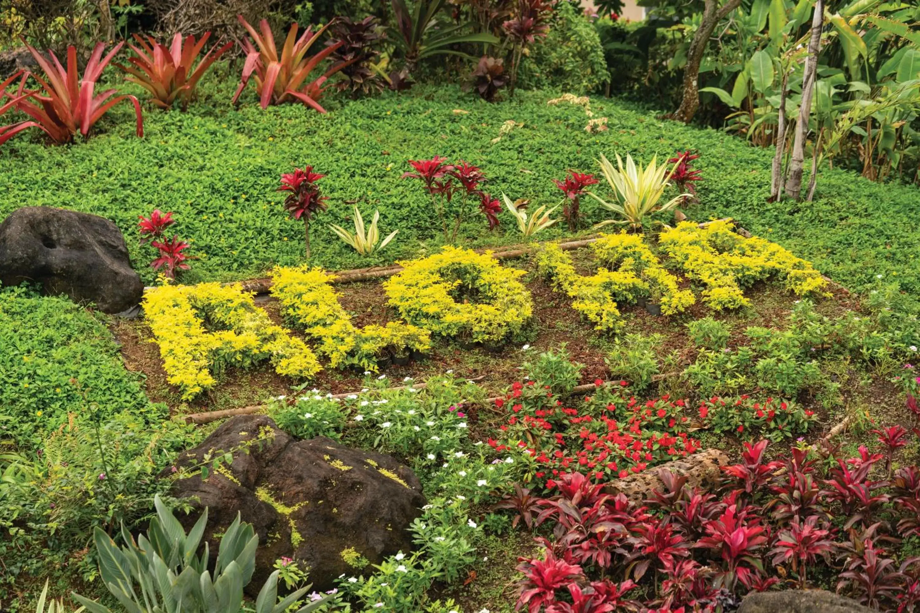 Property building in Kauai Coast Resort at the Beach Boy