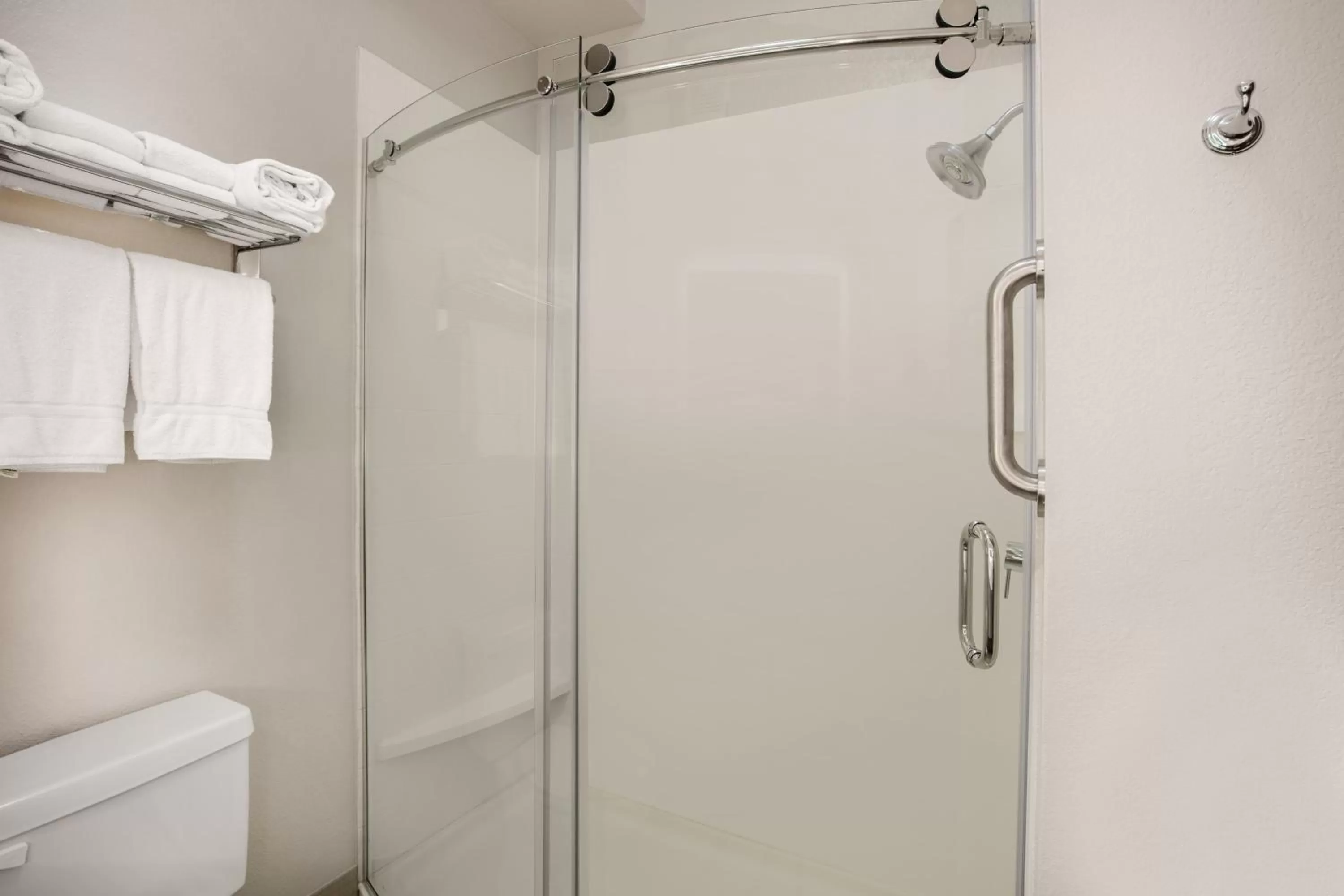 Bathroom in Holiday Inn Express Hotel & Suites Dallas - Grand Prairie I-20 by IHG