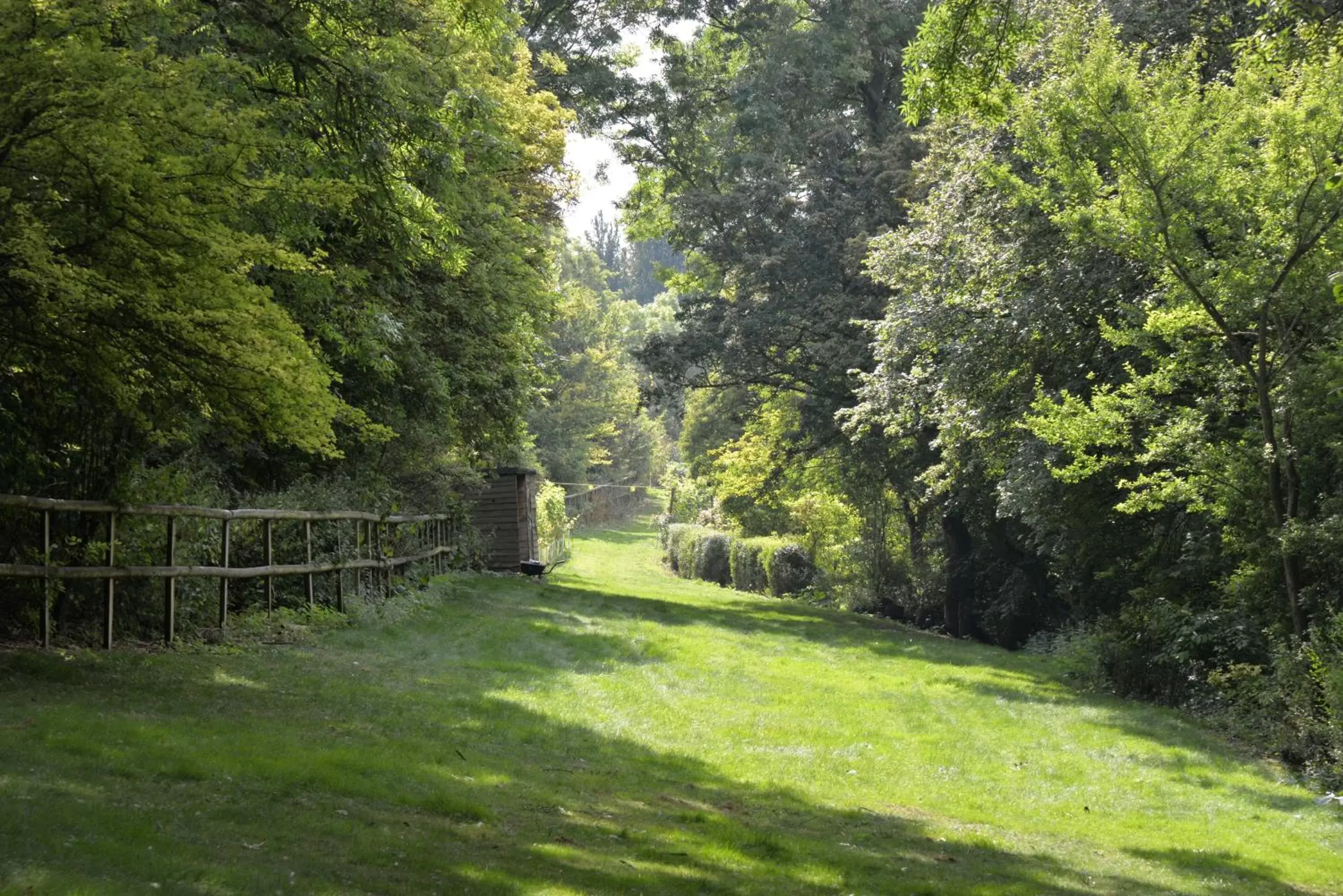 Spring in Thatchcombe B&B