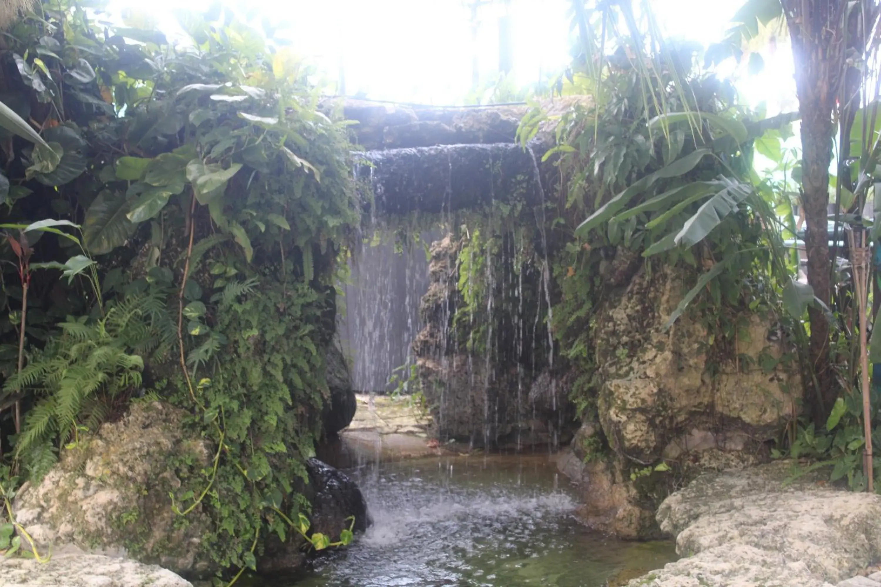 Swimming pool in Hoosville Hostel (Formerly The Everglades Hostel)