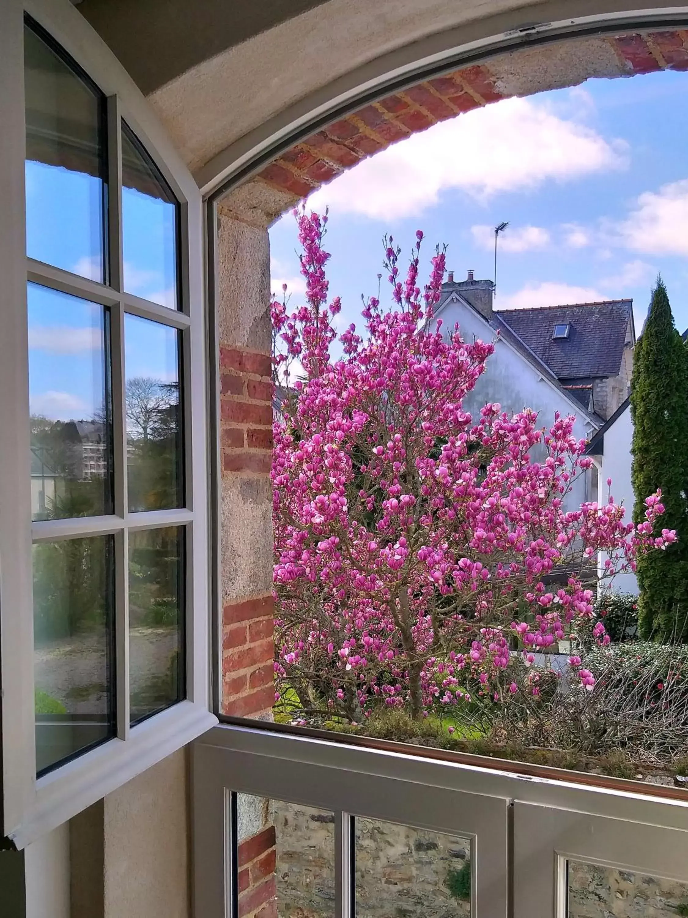 Garden view in Hôtel Ginkgo - SPA Biloba