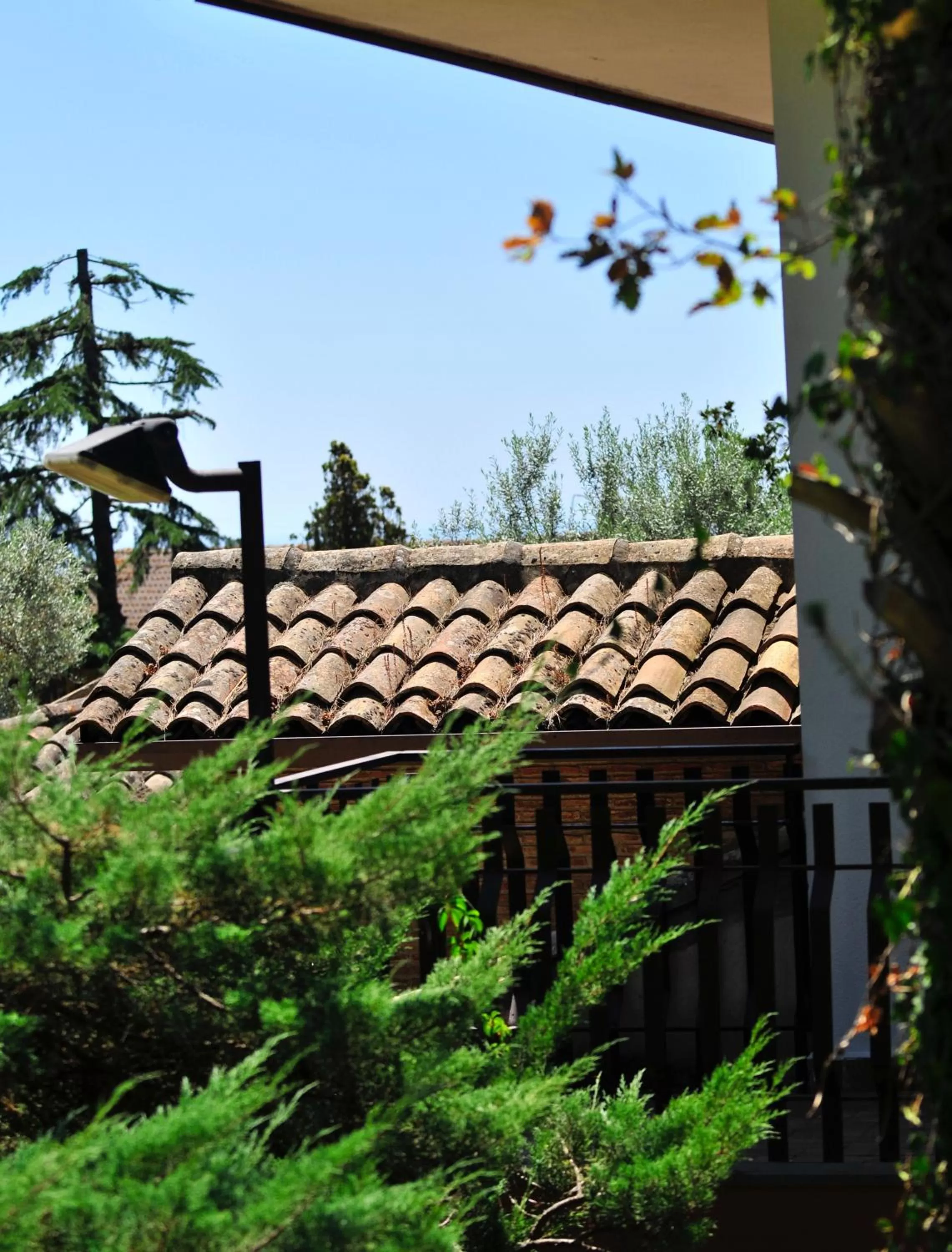 View (from property/room) in b&b Casa di Antonio_Etna Vacanze