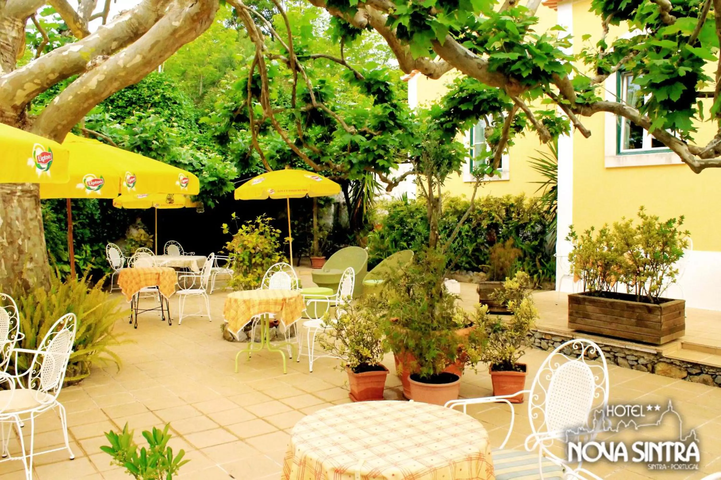 Restaurant/Places to Eat in Hotel Nova Sintra