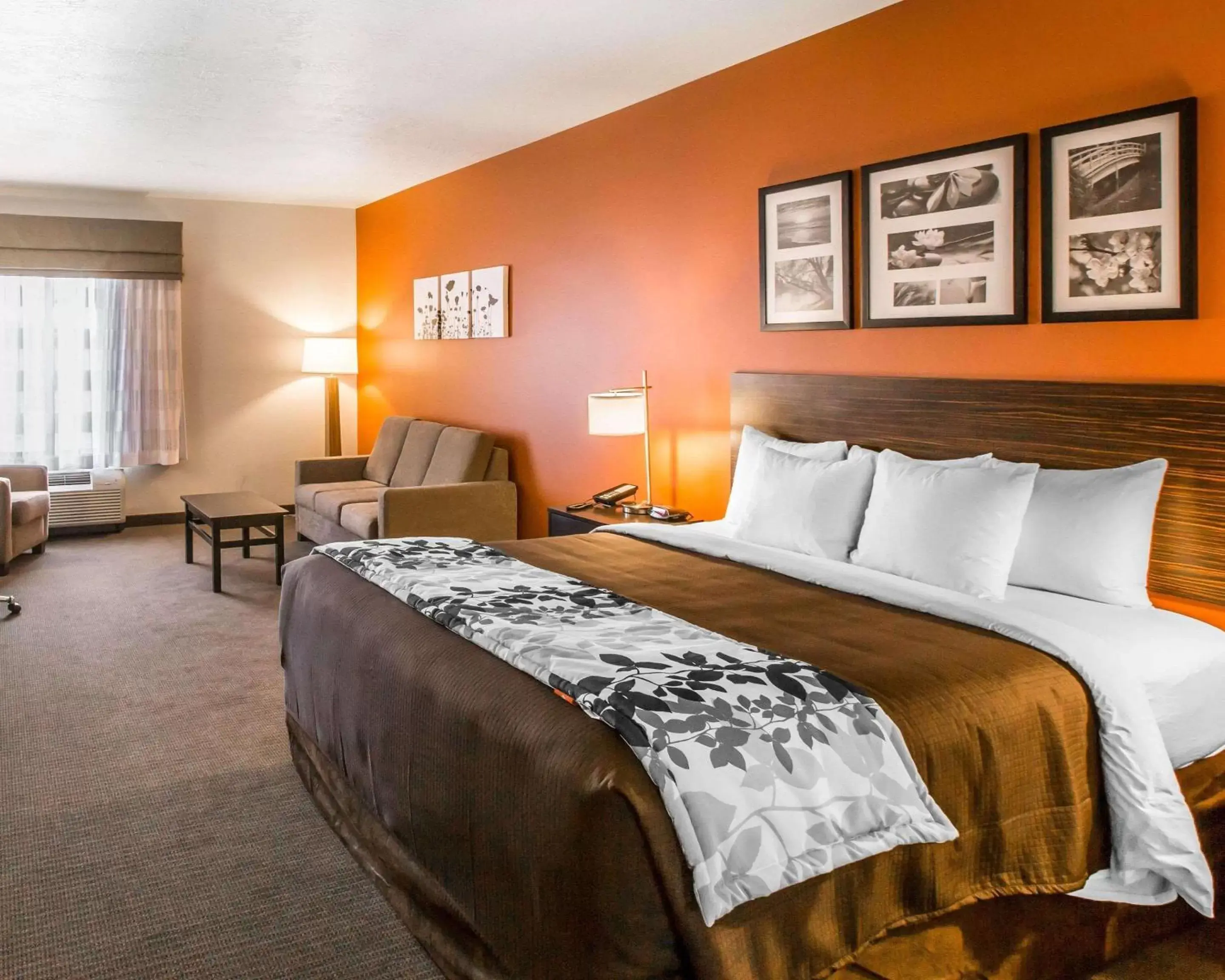 Photo of the whole room, Bed in Sleep Inn & Suites Page at Lake Powell