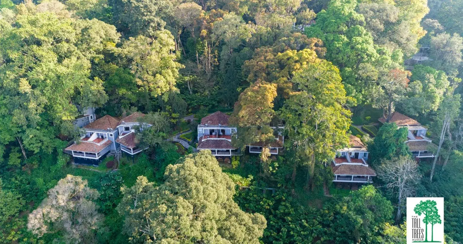 Area and facilities, Bird's-eye View in The Tall Trees Munnar