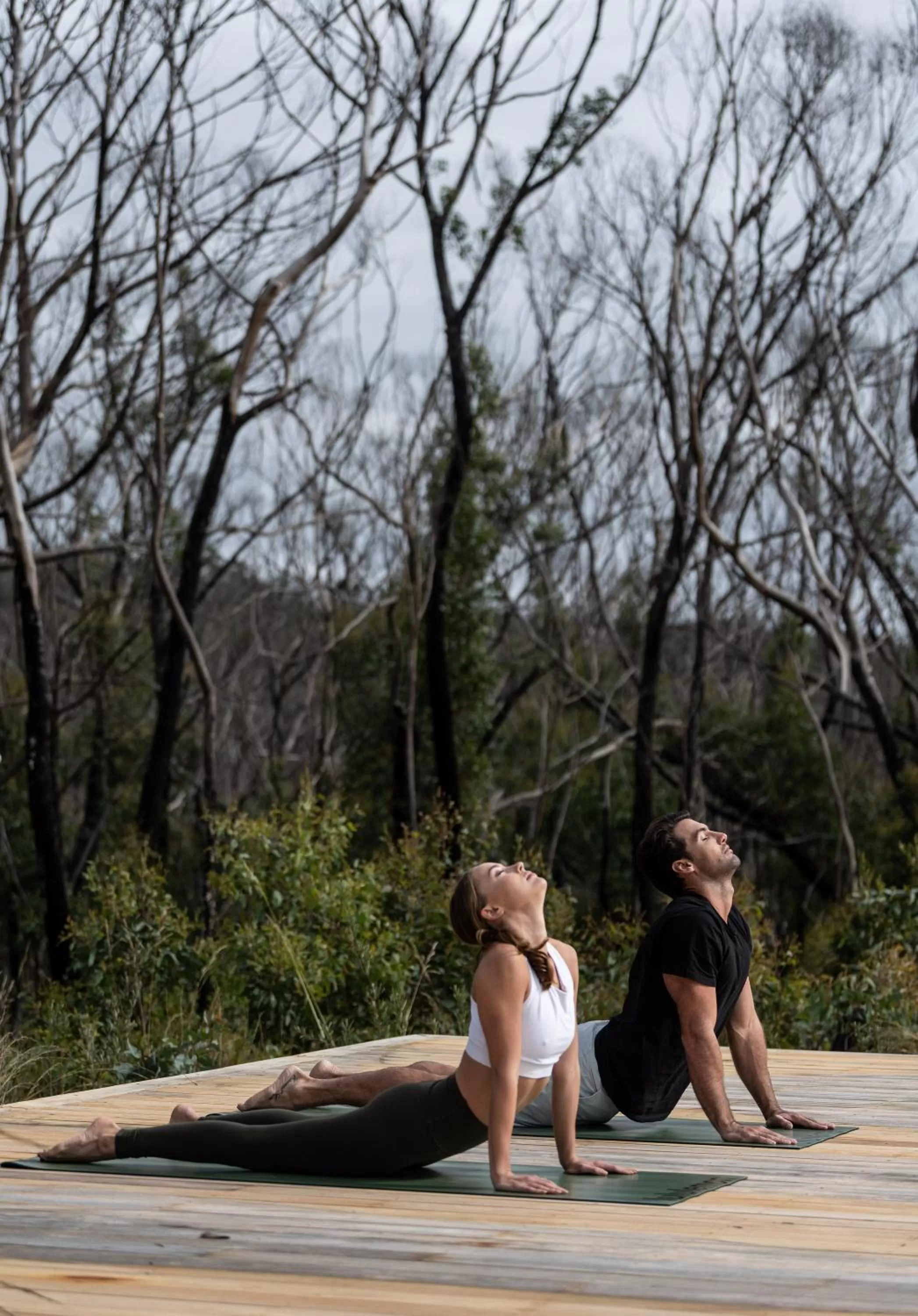 Fitness centre/facilities in Chalets at Blackheath