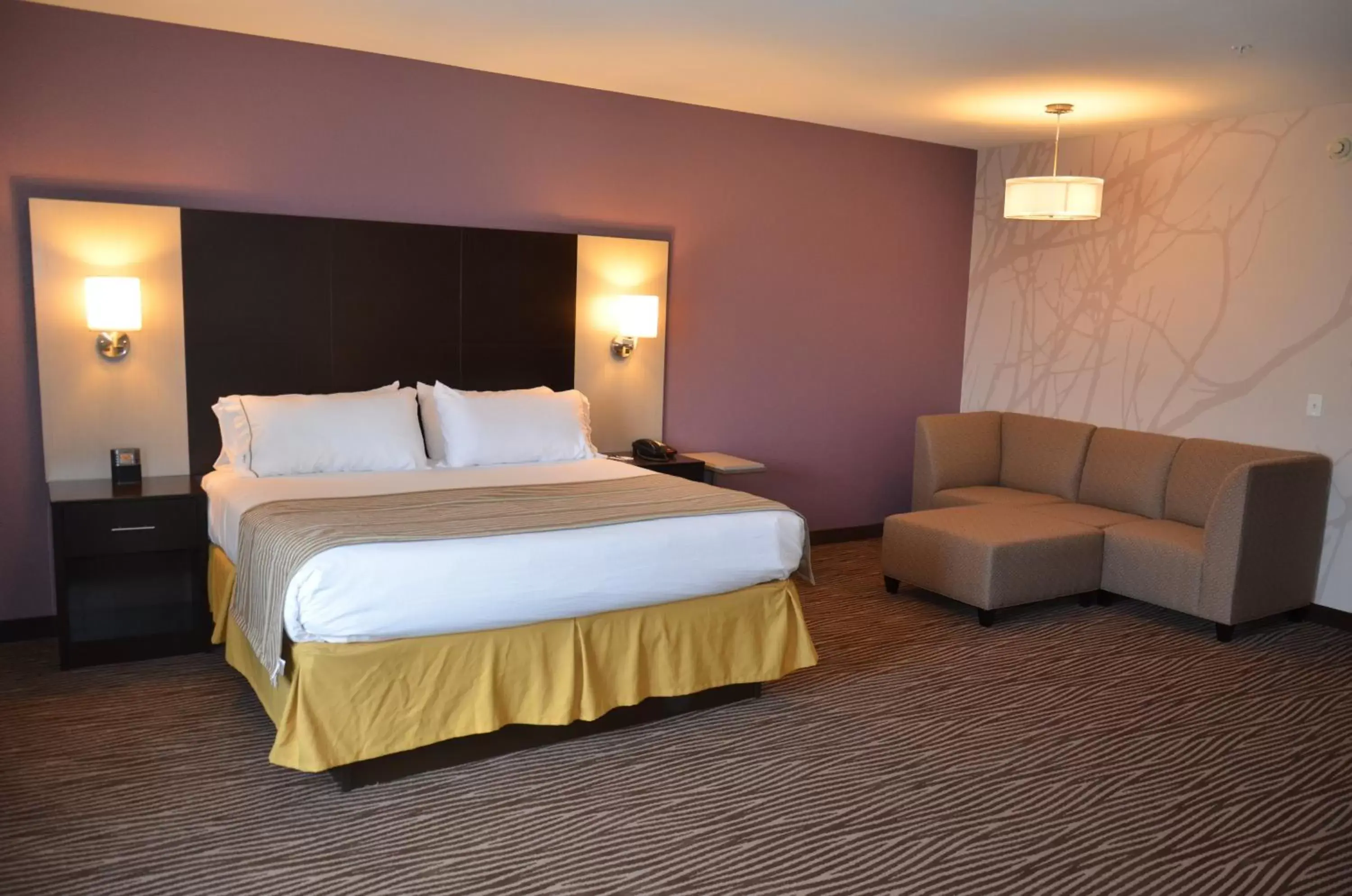 Photo of the whole room, Bed in Holiday Inn Express & Suites Cheektowaga North East, an IHG Hotel