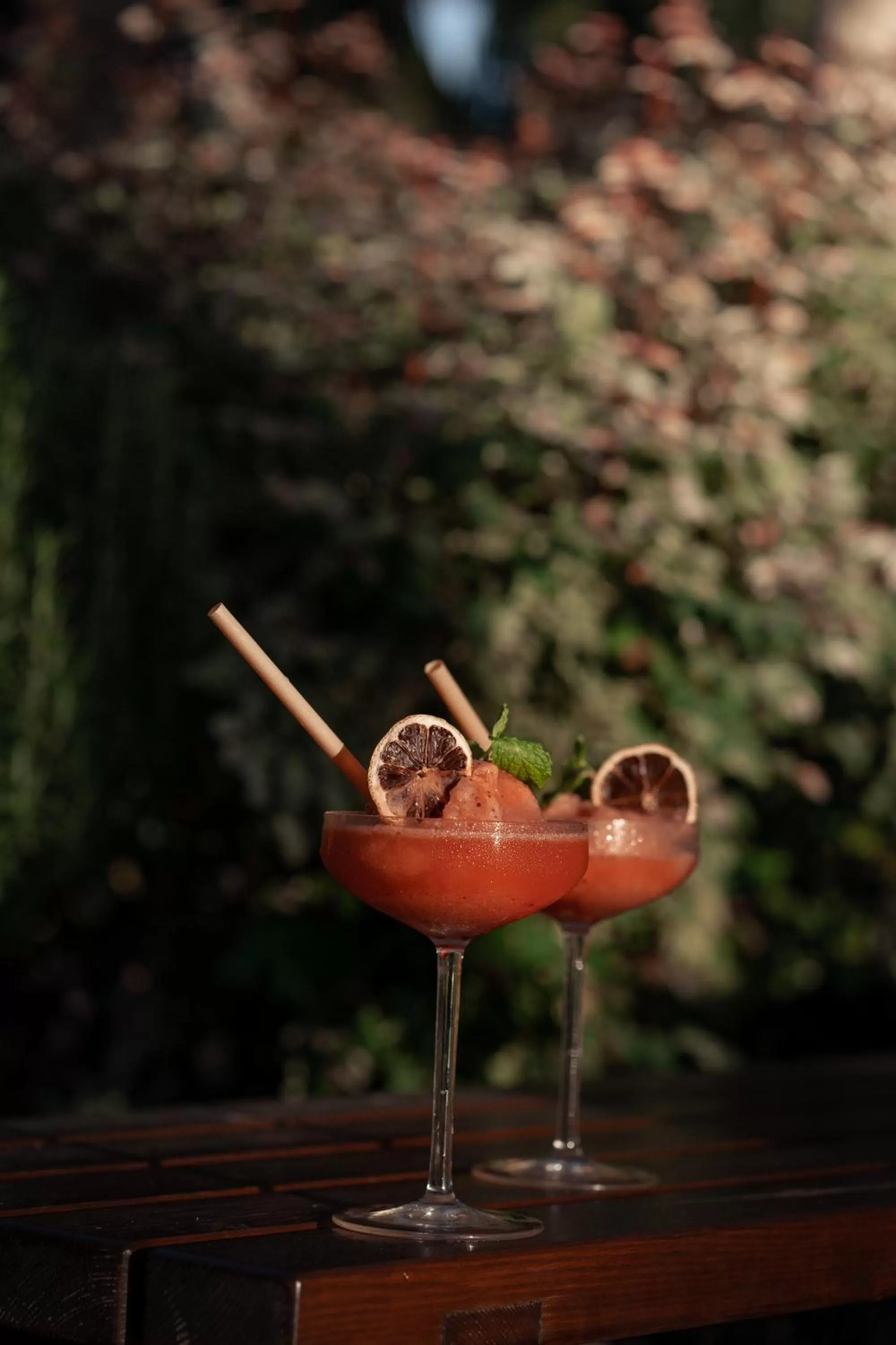 Day in Hotel Fariones