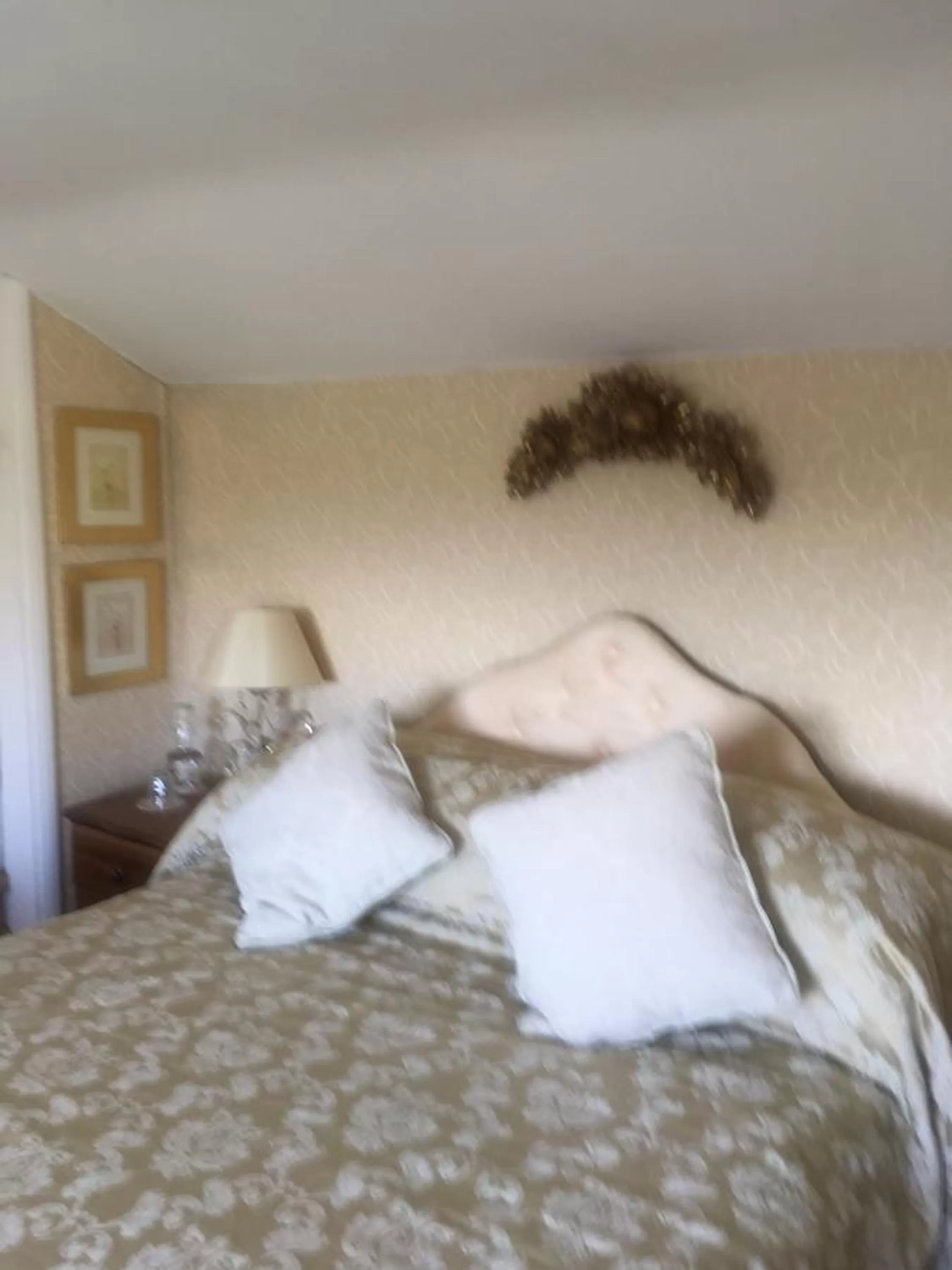 Other, Bed in West Wold Farm House B&B