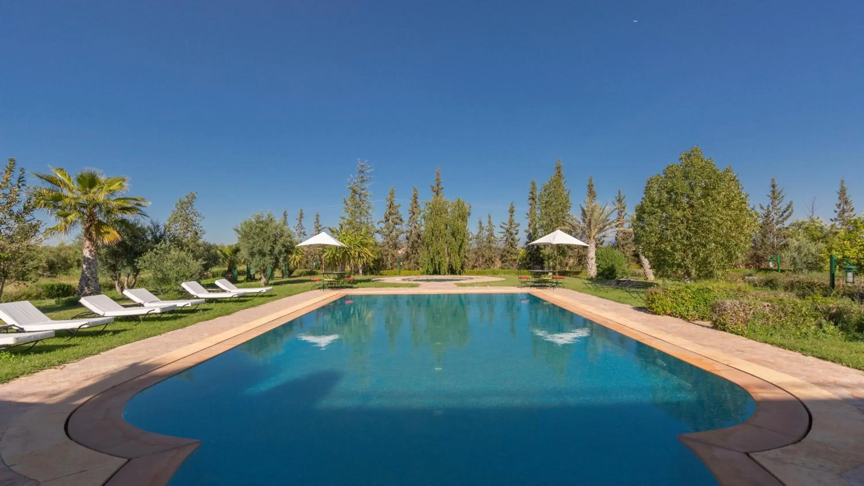 Pool view, Swimming Pool in L'OLIVERAIE DE L'ATLAS