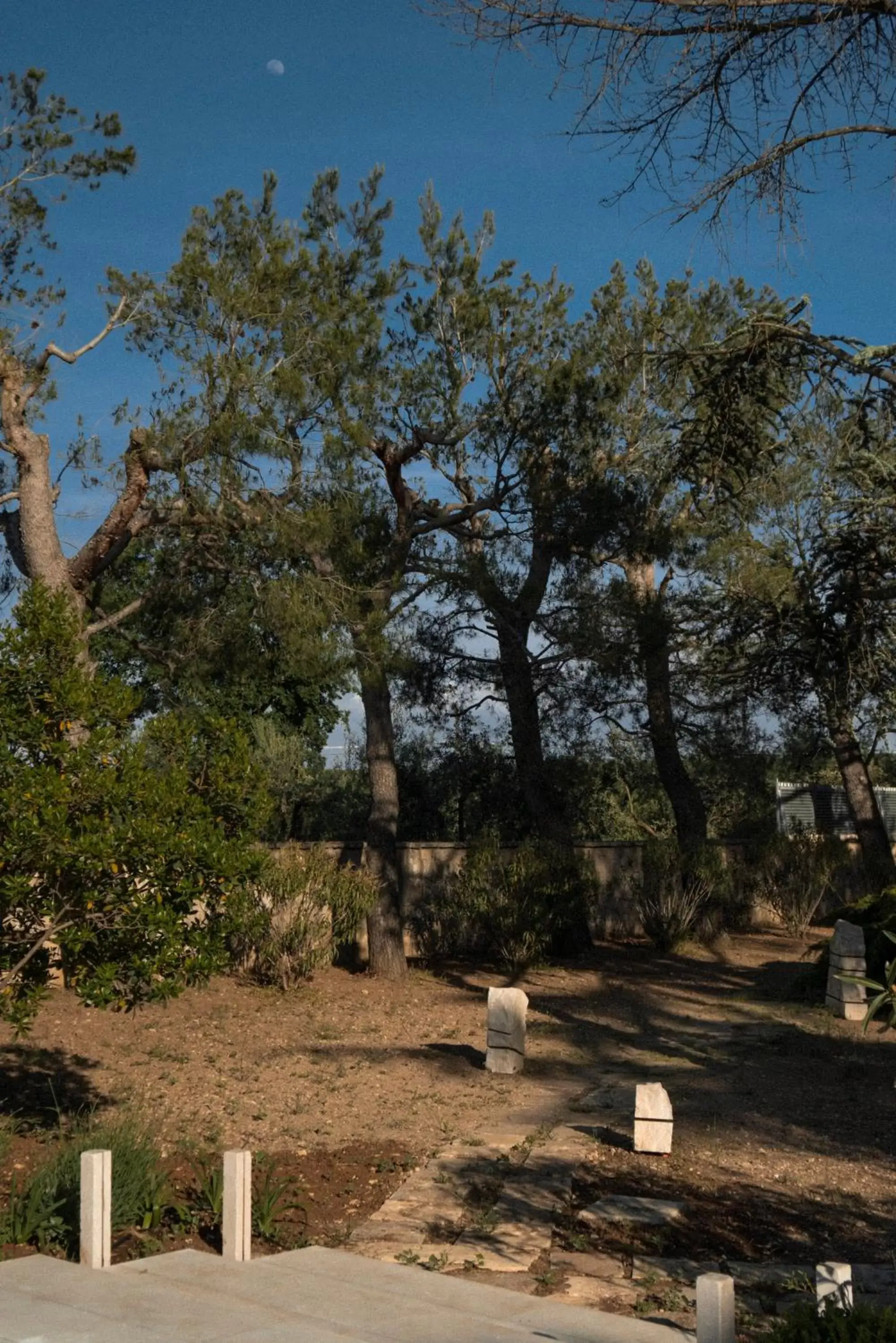 Garden in Otto Apulia House