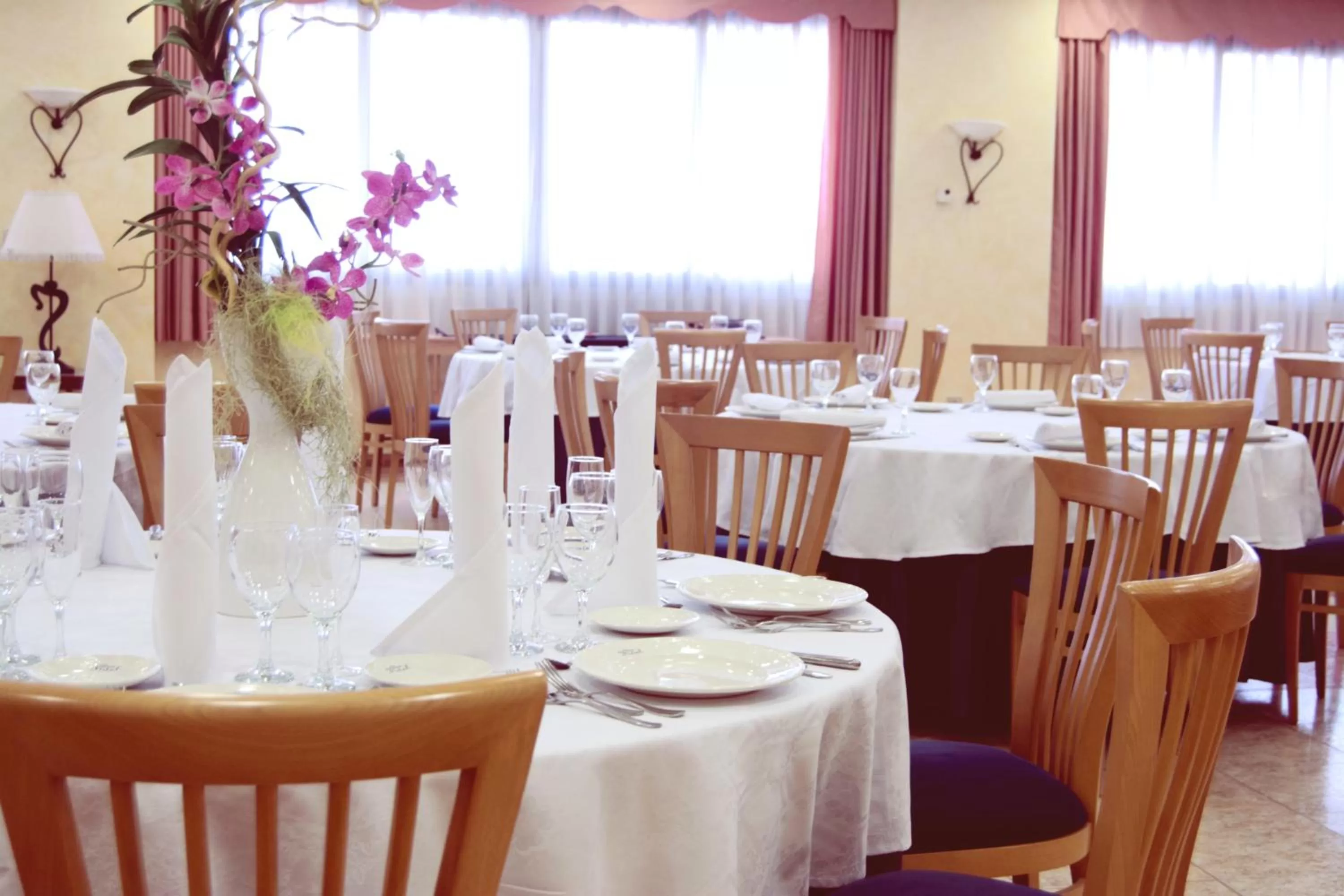 Restaurant/places to eat in Hospedium Hotel Don Fidel