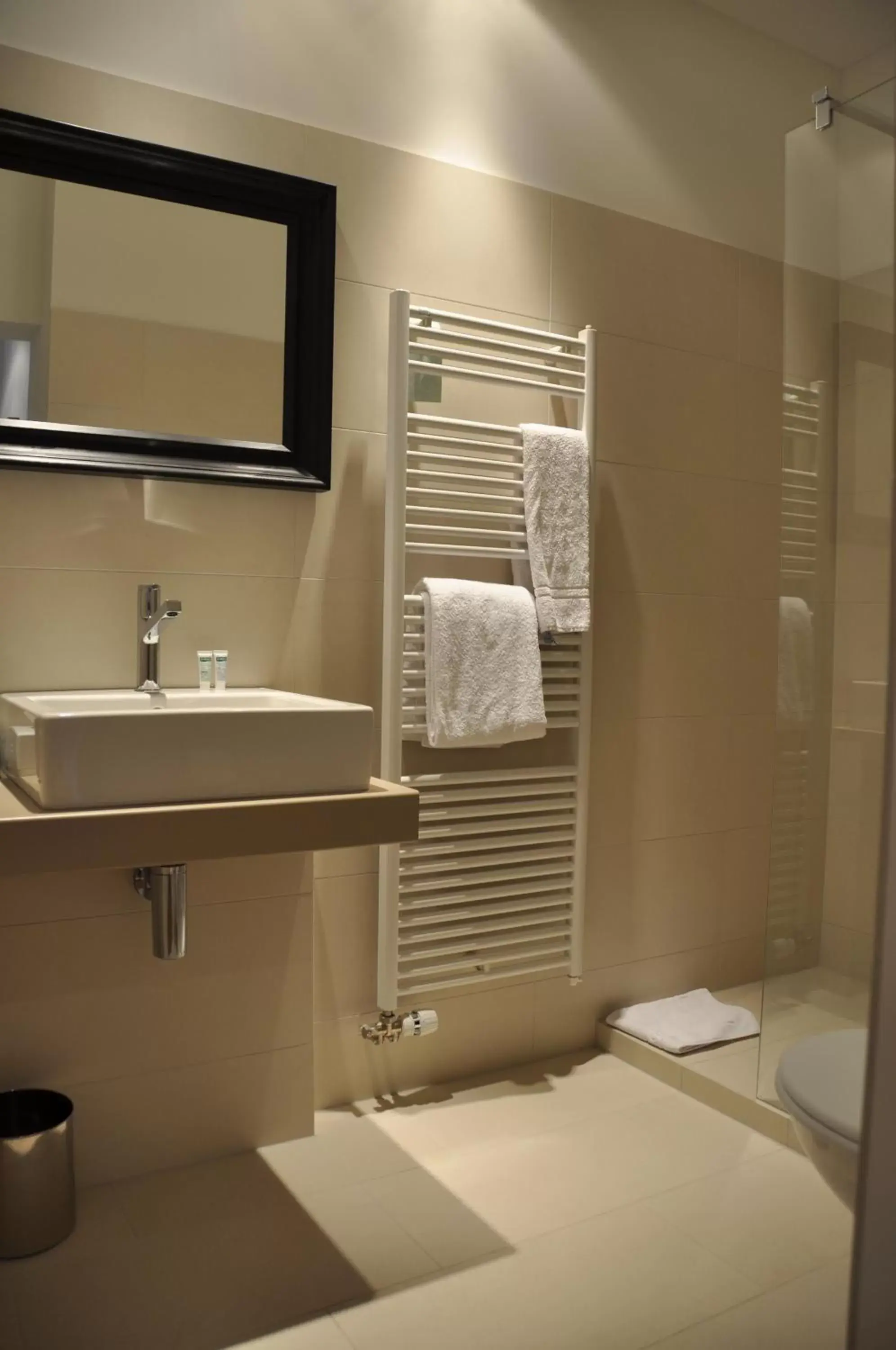 Shower, Bathroom in Hotel Edelweiss