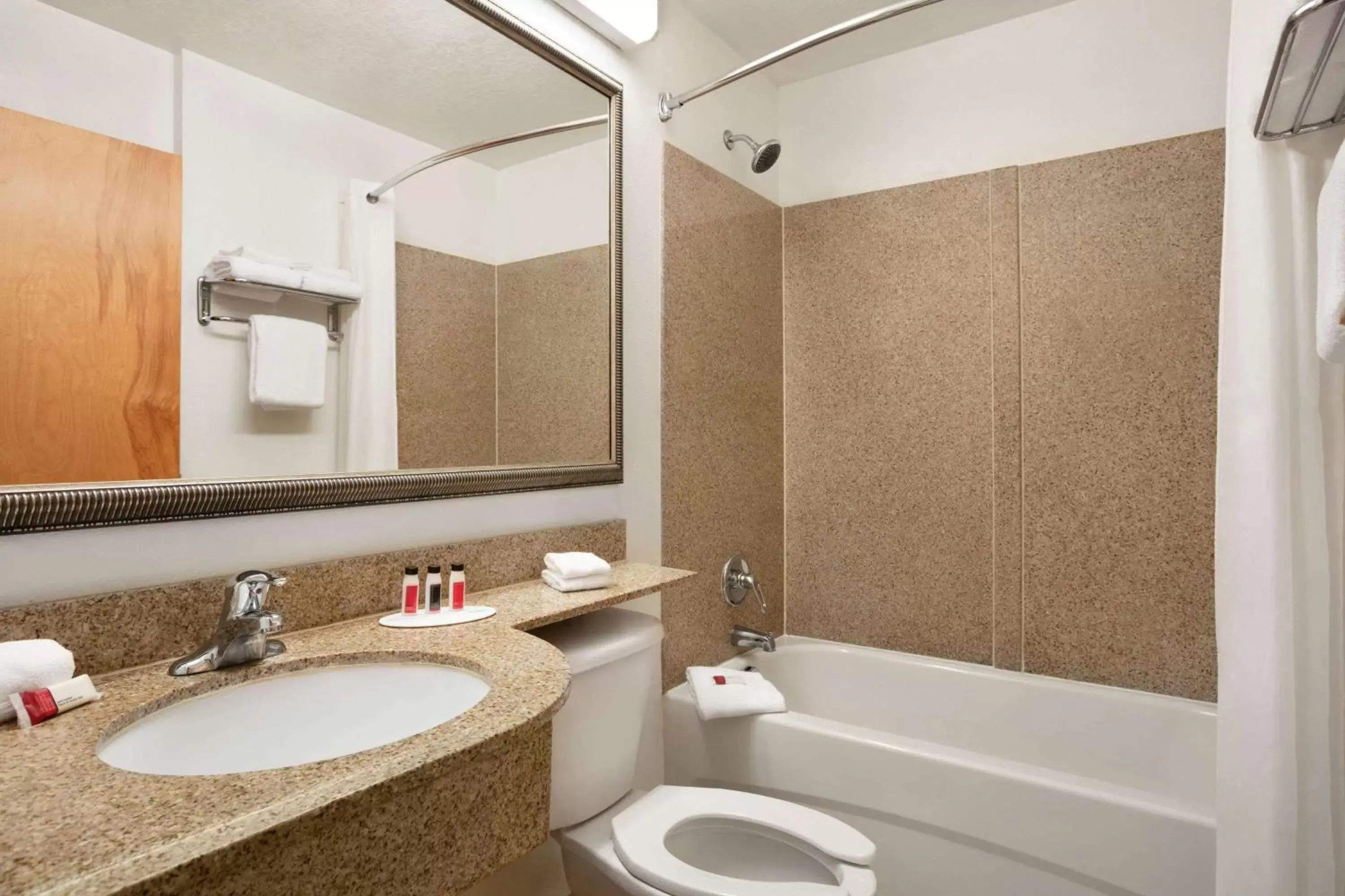 Bathroom in Microtel Inn & Suites by Wyndham Culpeper
