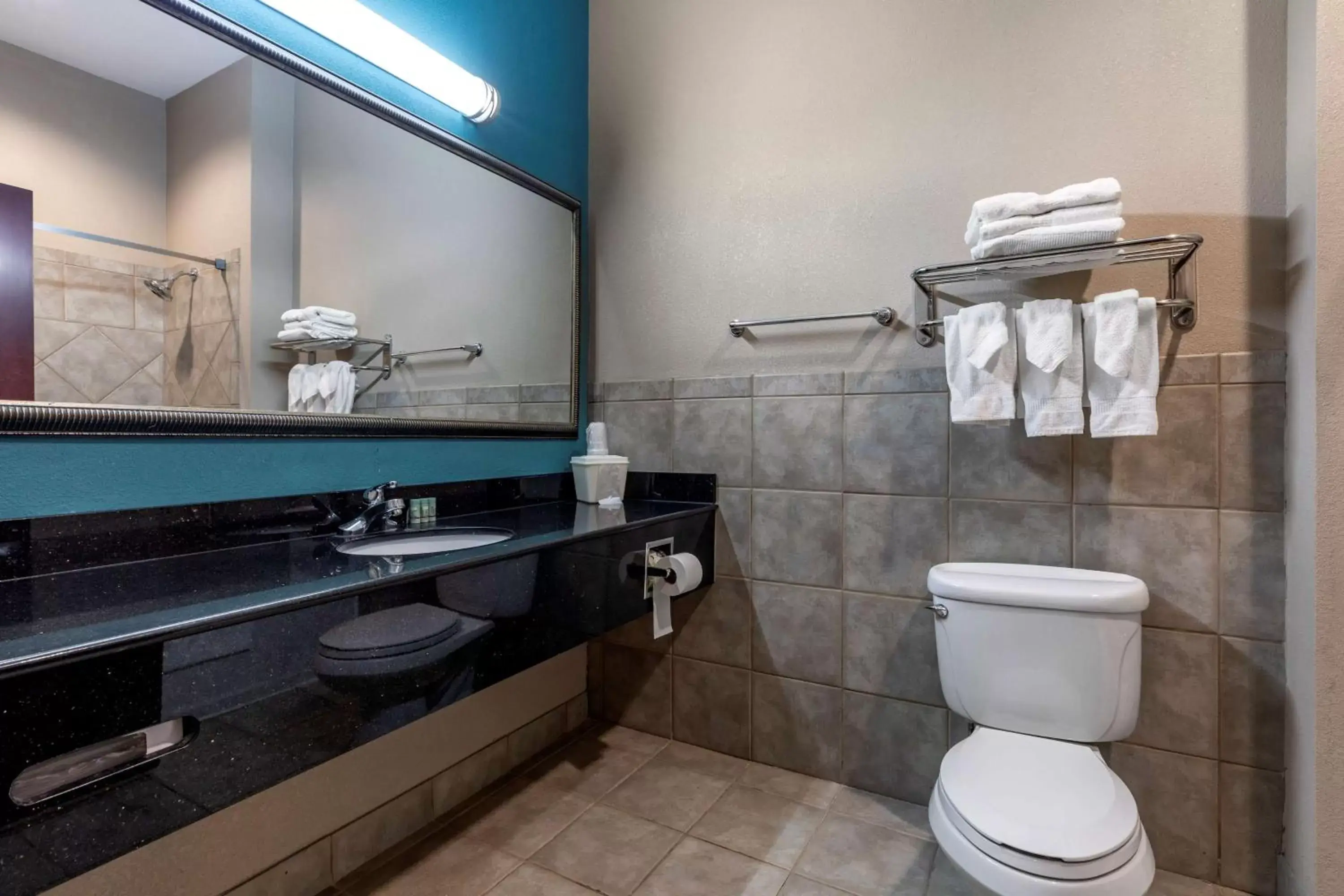 Bathroom in Best Western Mineola Inn