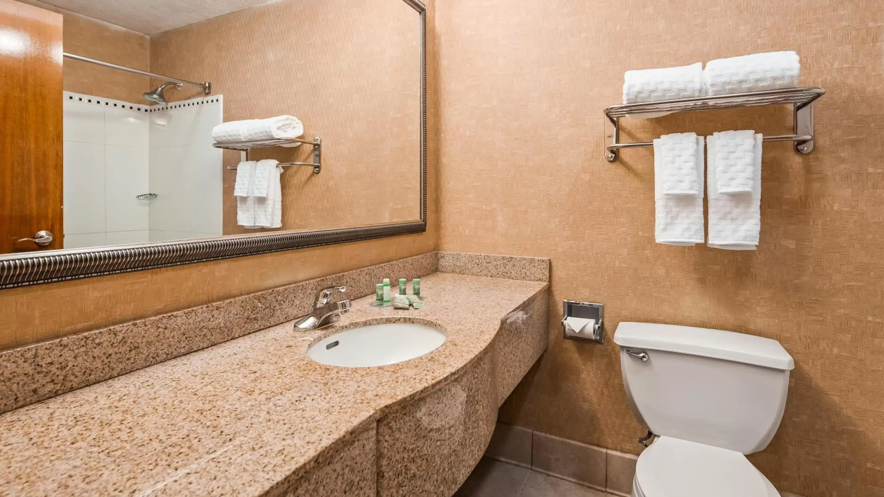 Bathroom in Best Western Gwinnett Center