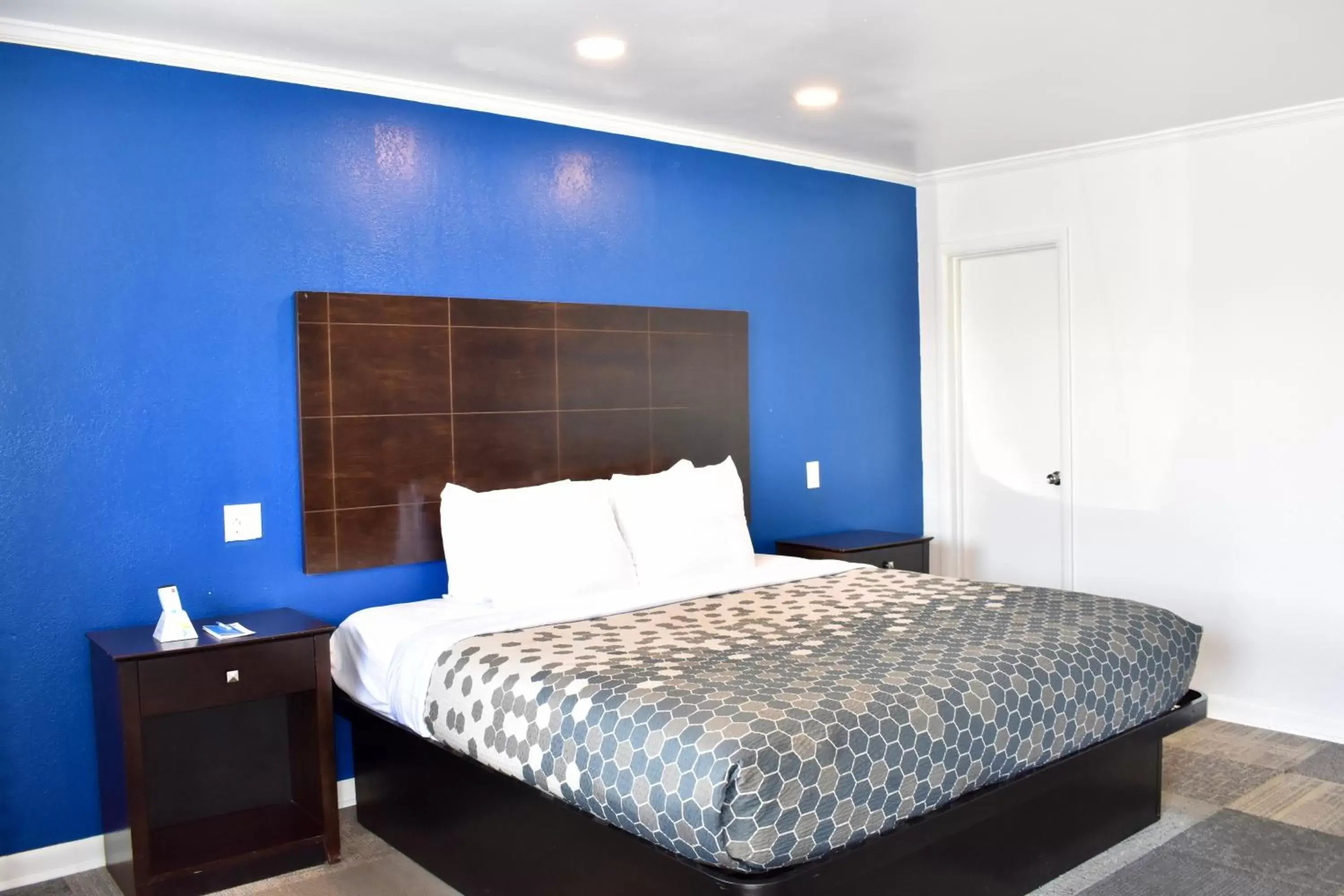 Bedroom, Bed in Rodeway Inn - Swainsboro