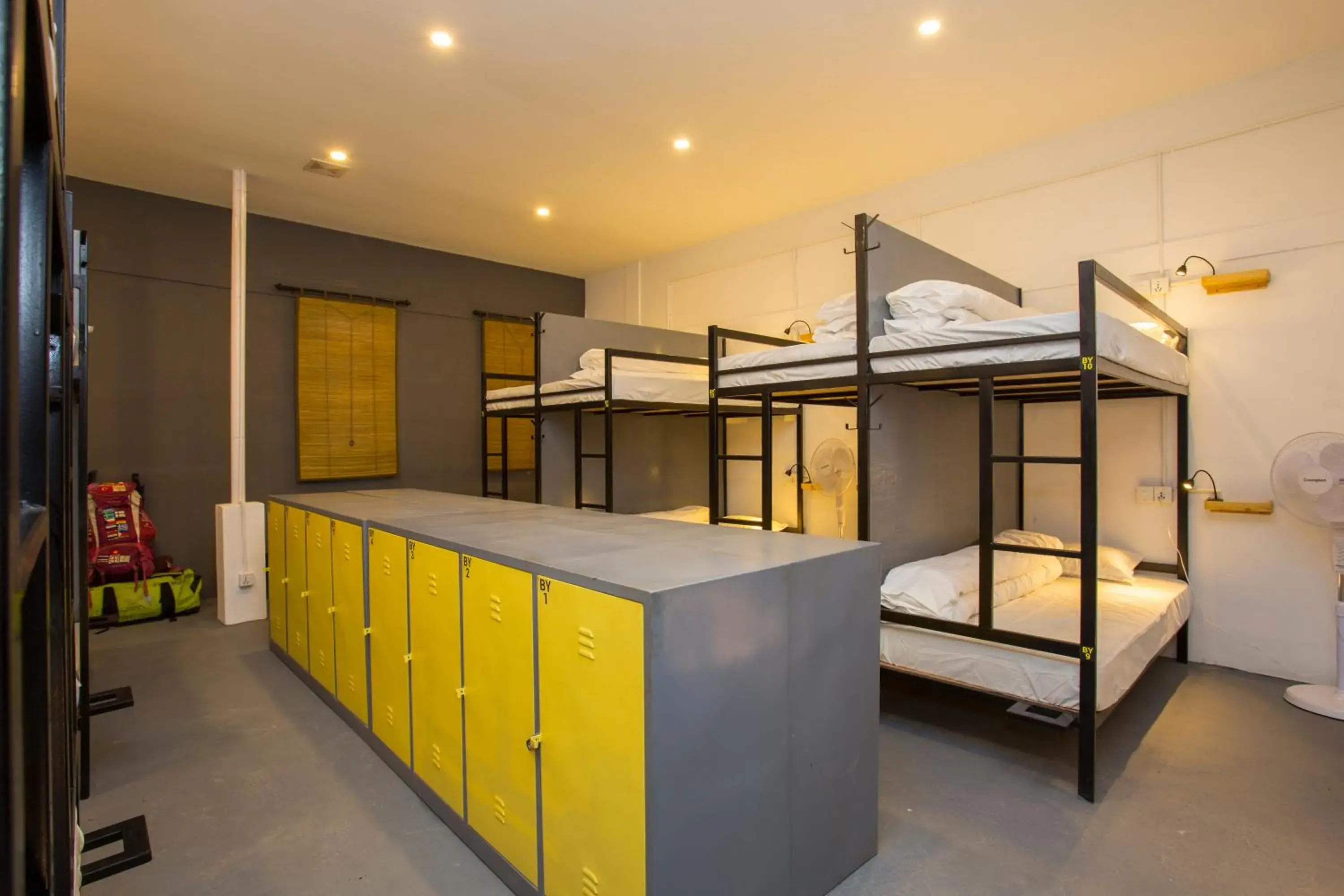 bunk bed in Yakety Yak Hostel