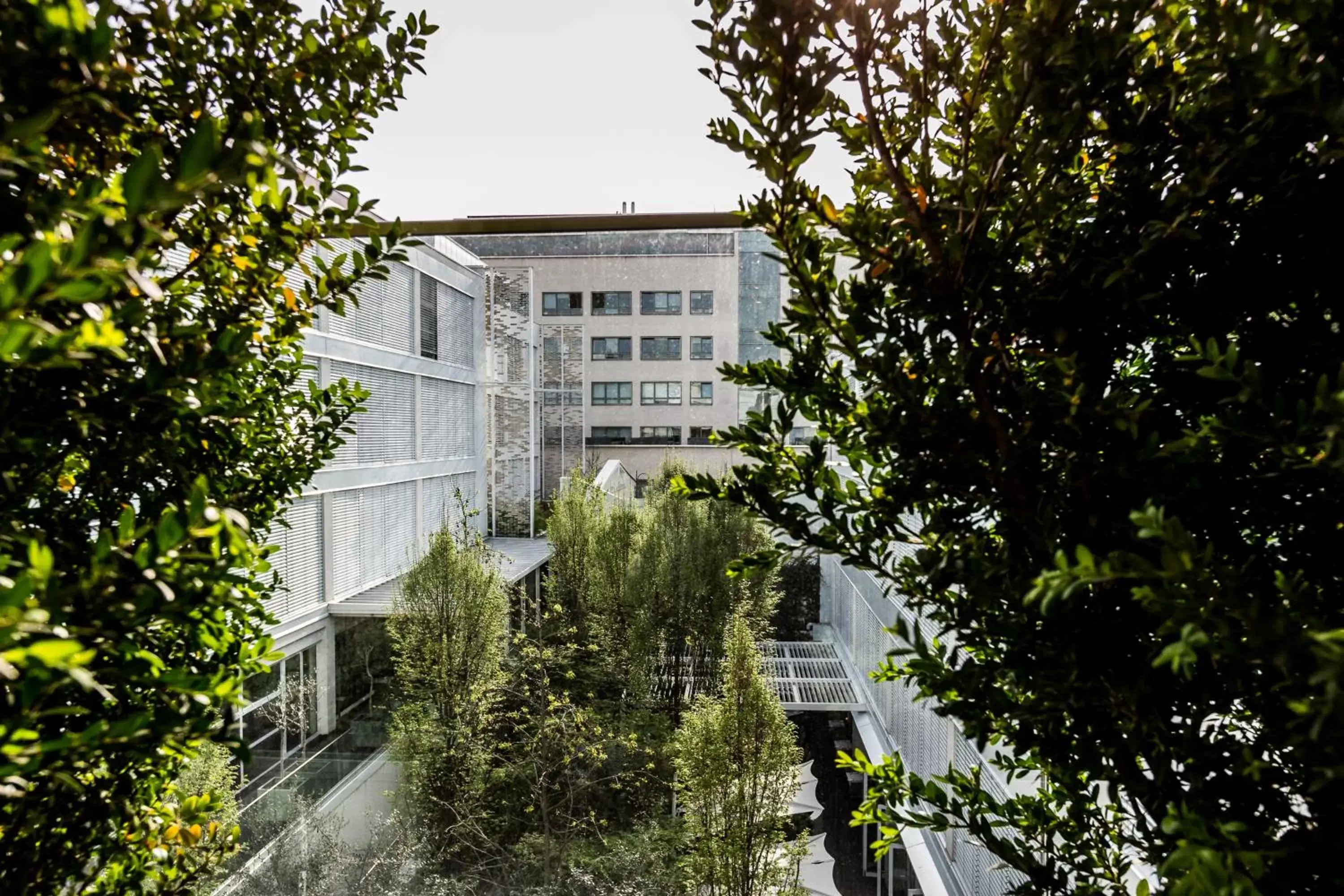 View (from property/room), Property Building in Magna Pars l'Hotel à Parfum