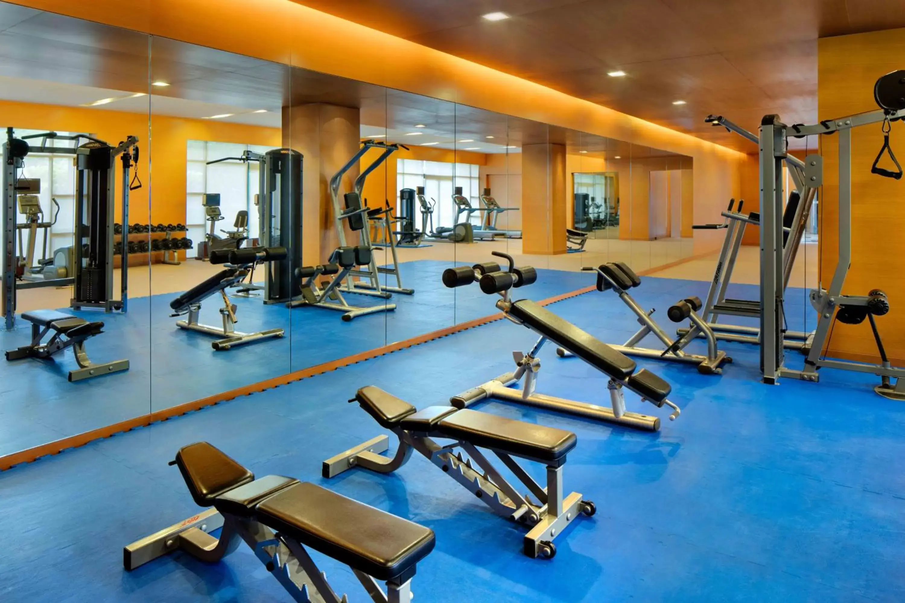 Fitness centre/facilities, Fitness Center/Facilities in Radisson Blu Cebu