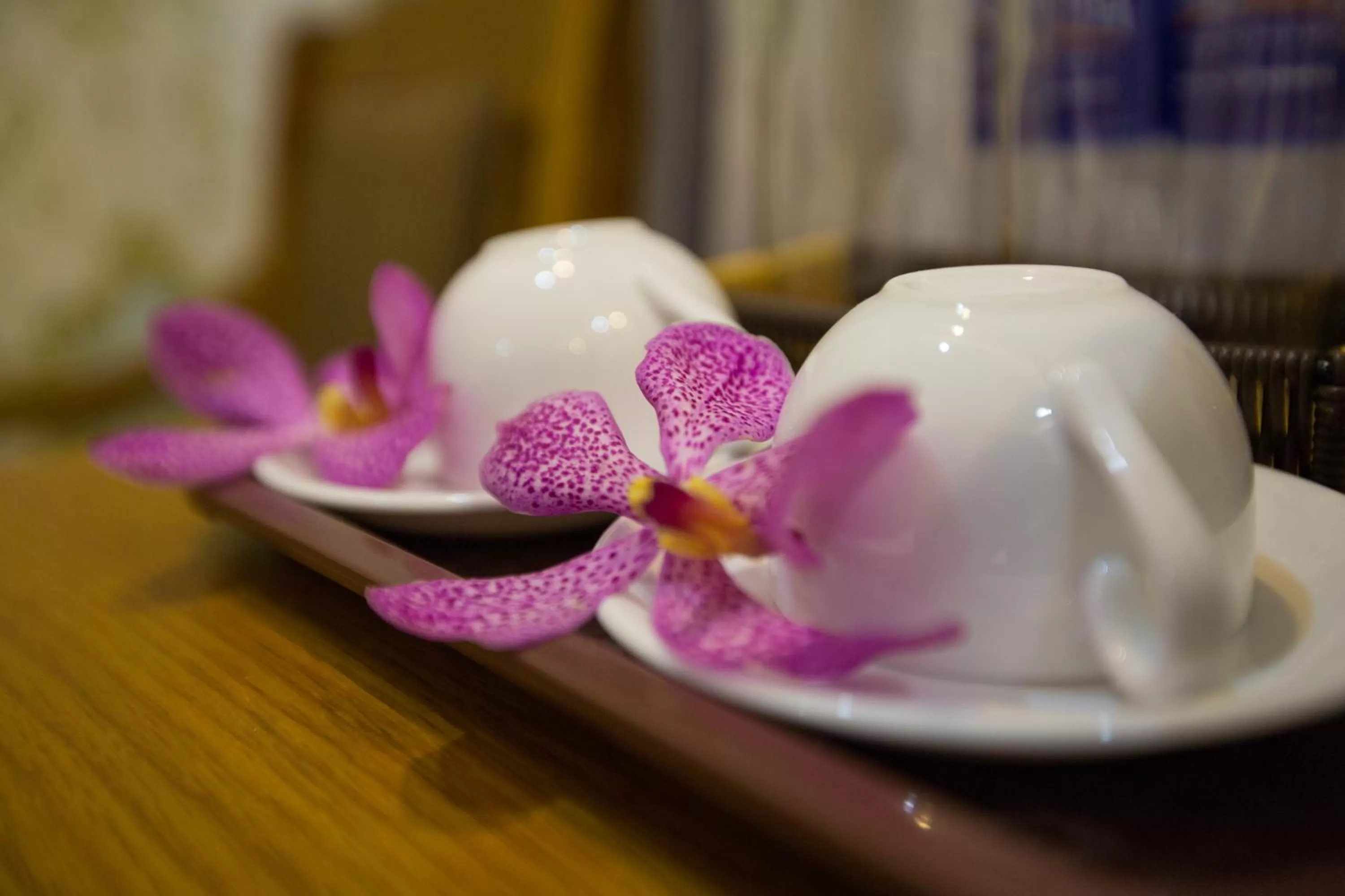 Other in The Airport Hotel