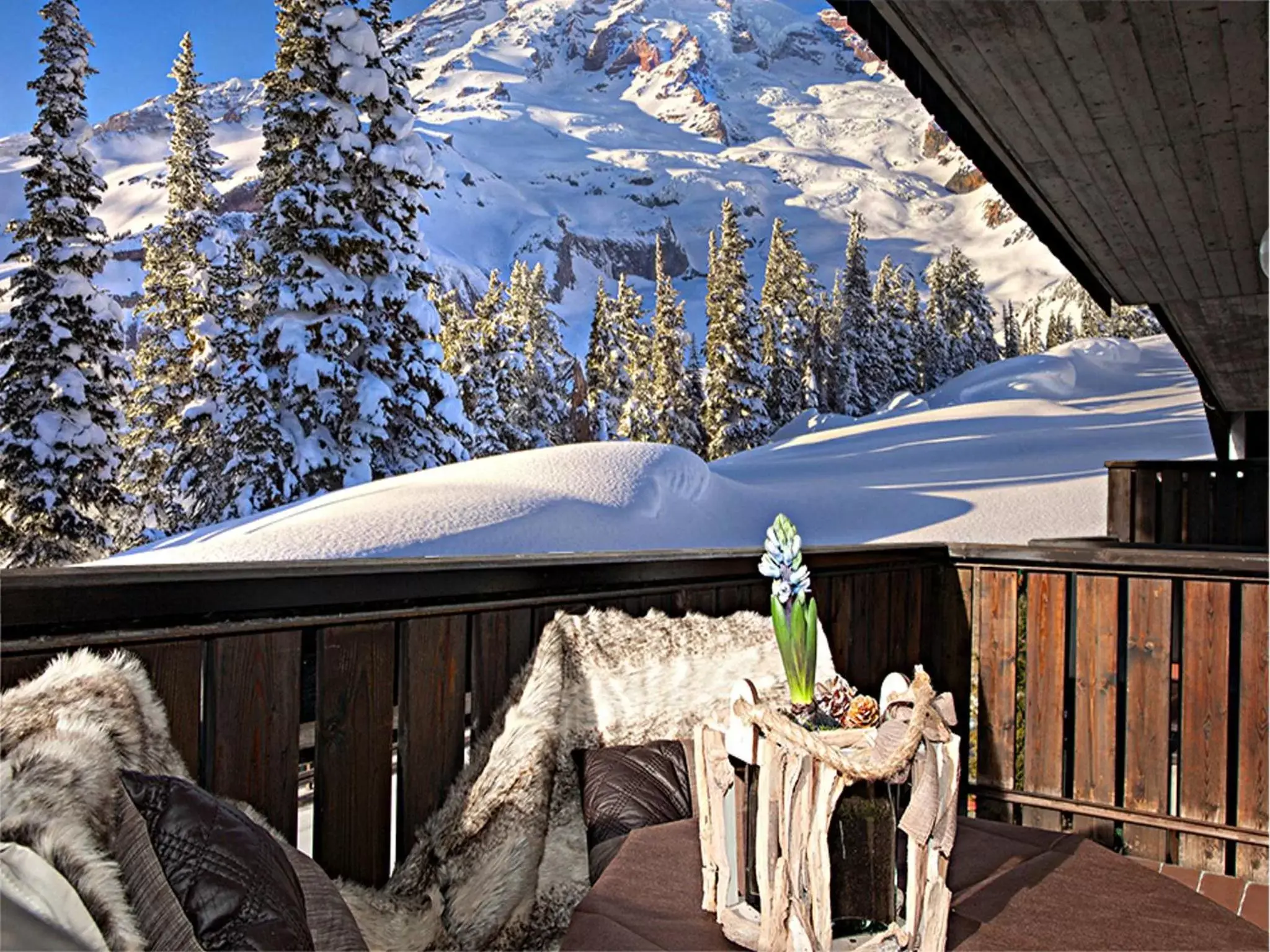 Balcony/Terrace, Winter in Hotel Nigritella