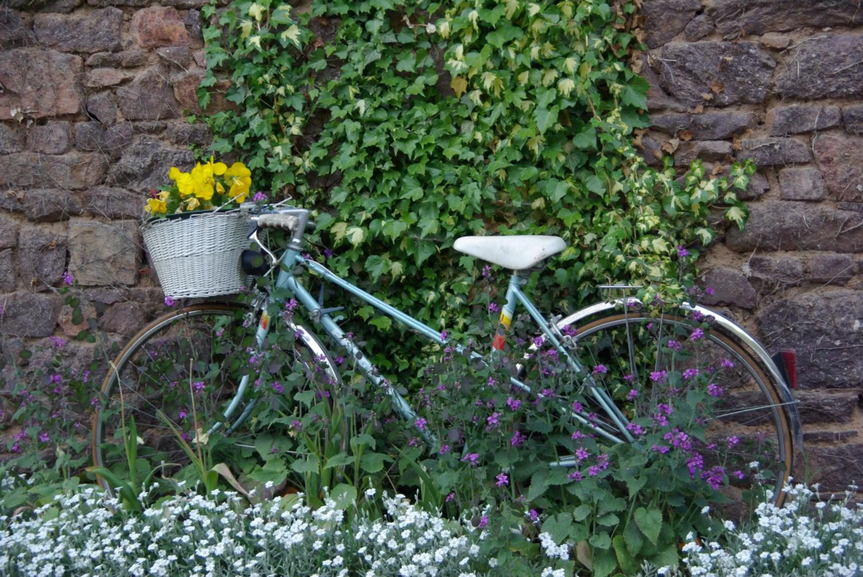 View (from property/room) in Chambres d'hôtes La Fontaine Garel