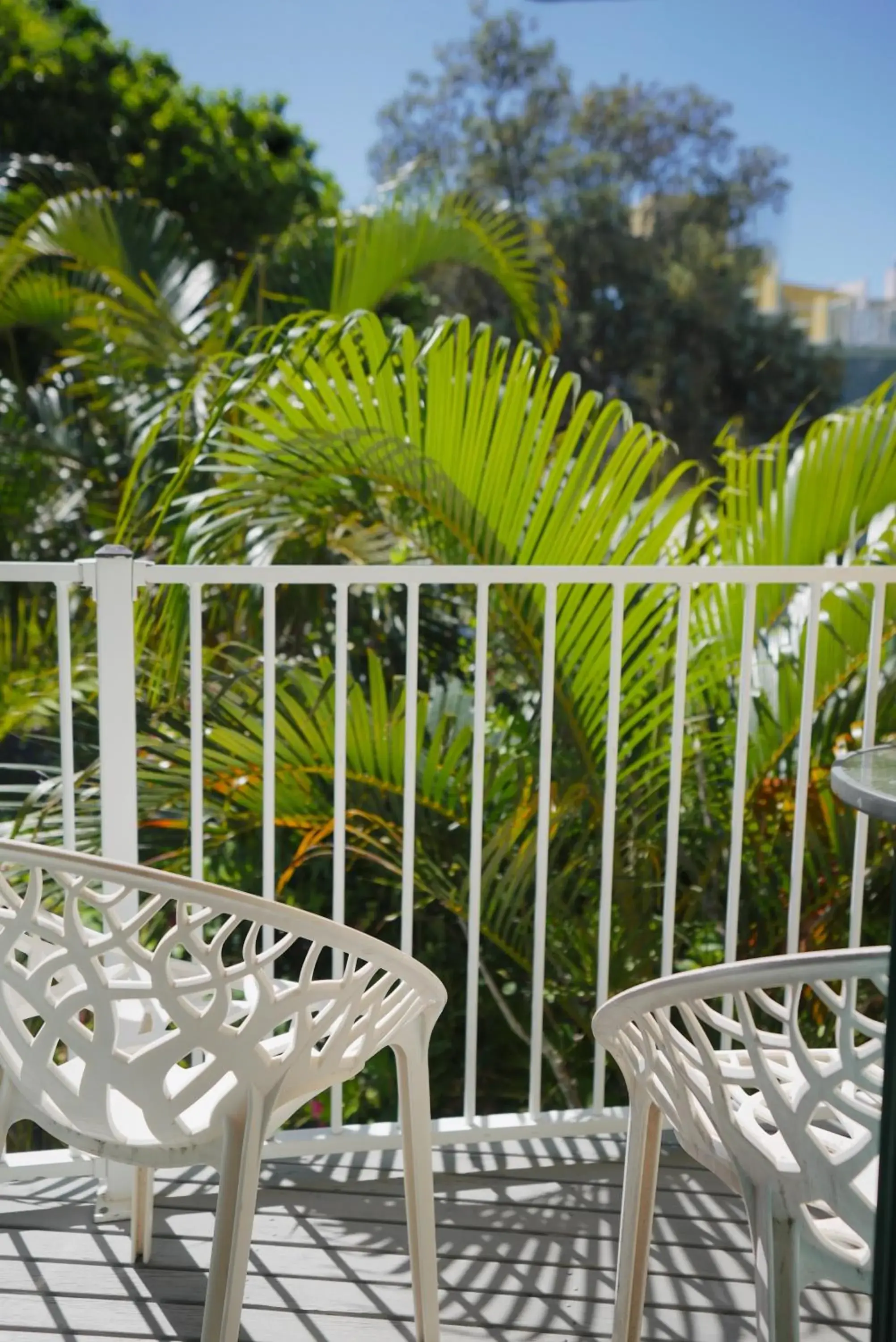 Balcony/Terrace in Coolum Budget Accommodation