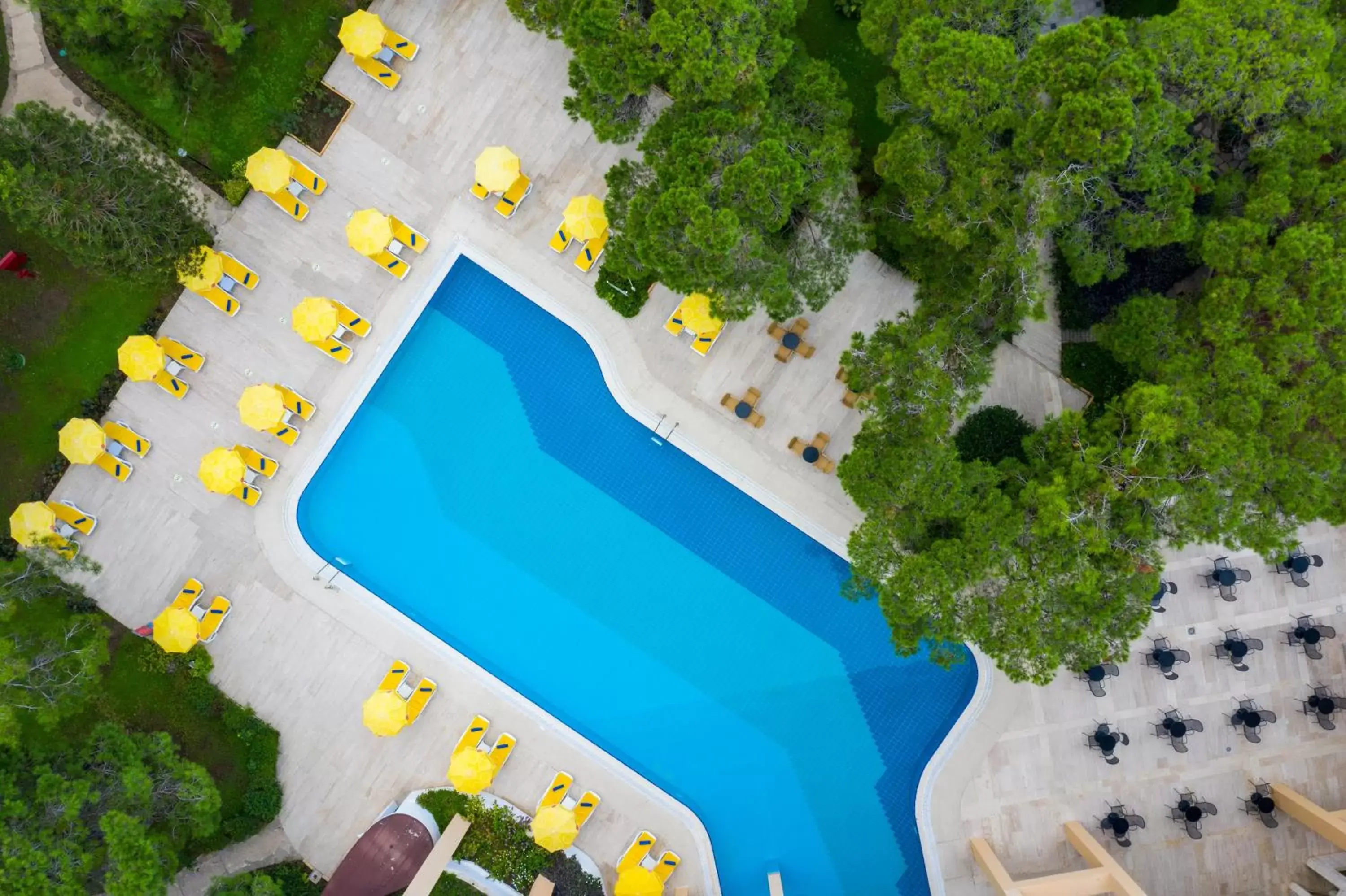 Swimming pool, Pool View in Labranda Excelsior Hotel