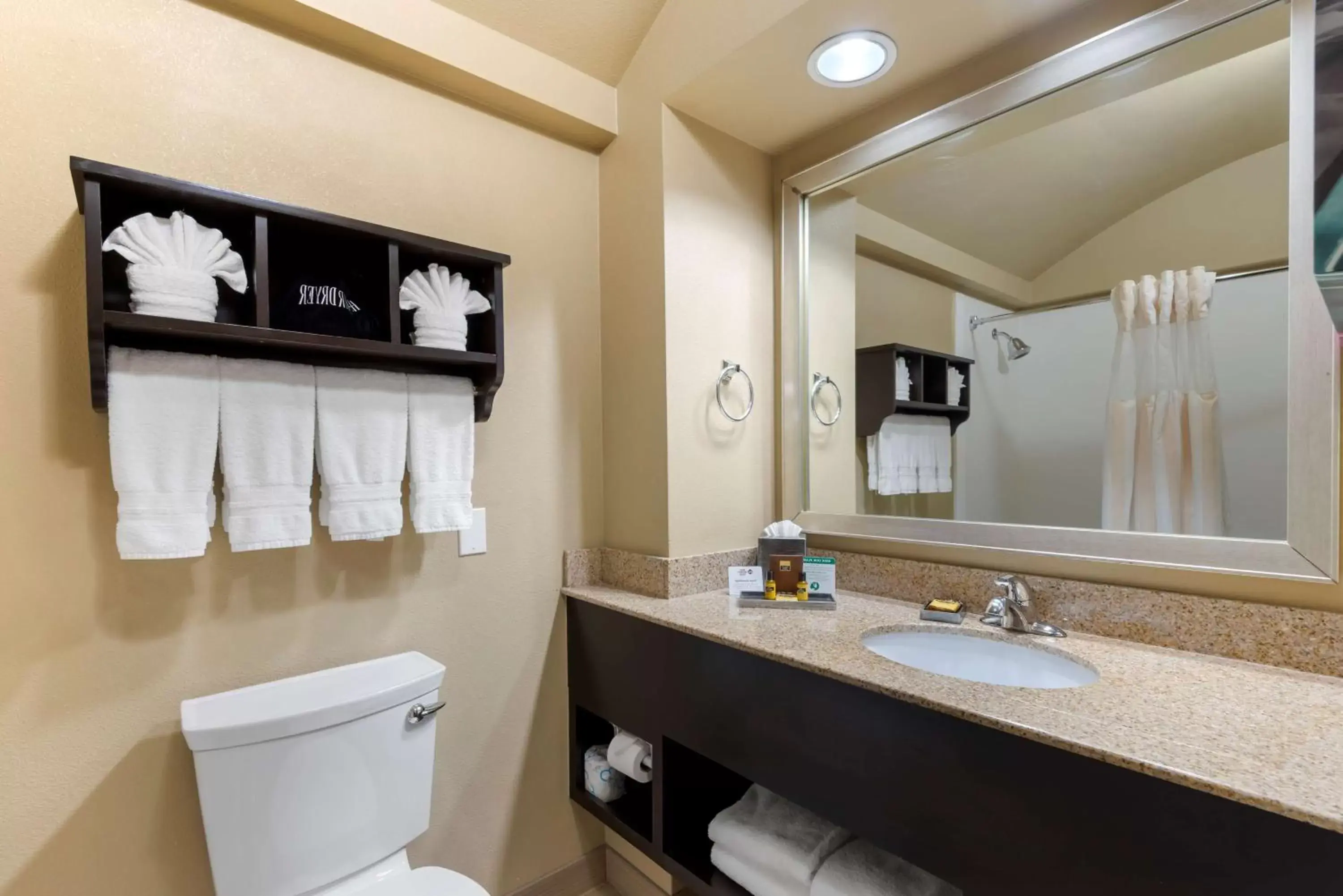 Bathroom in Best Western Plus Arlington North