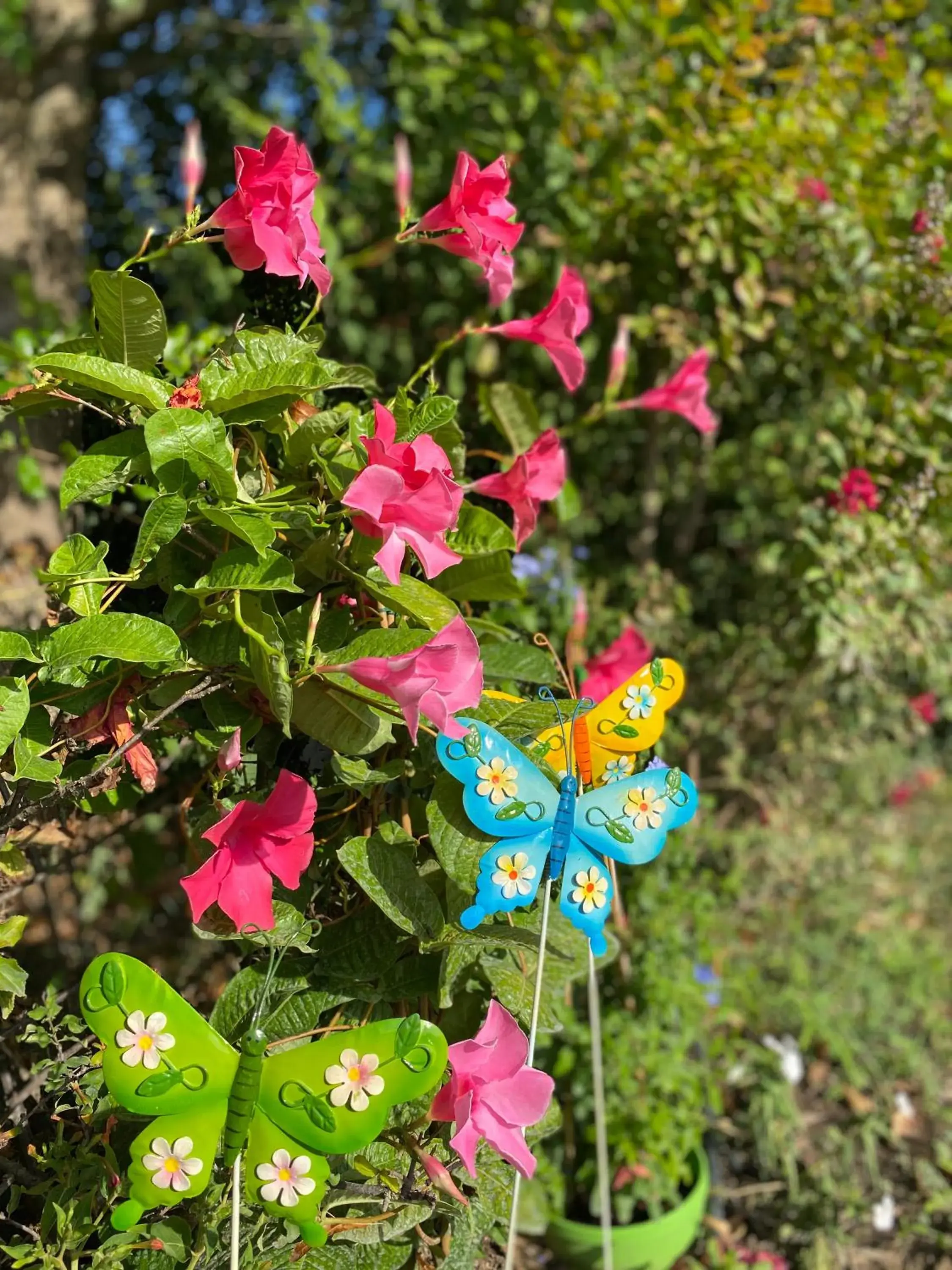 Garden in Cà Rocca Relais