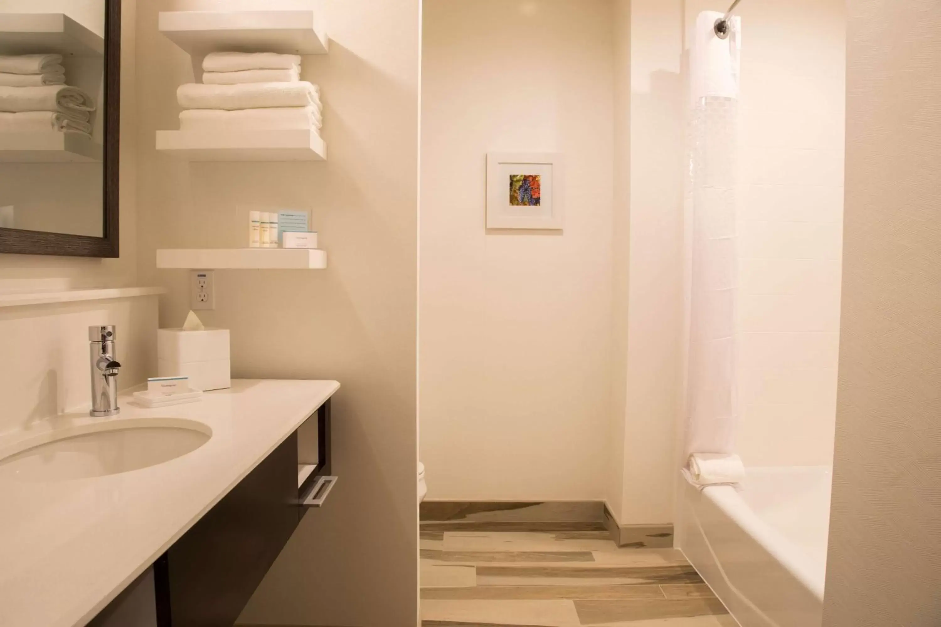 Bathroom in Hampton Inn & Suites Murrieta