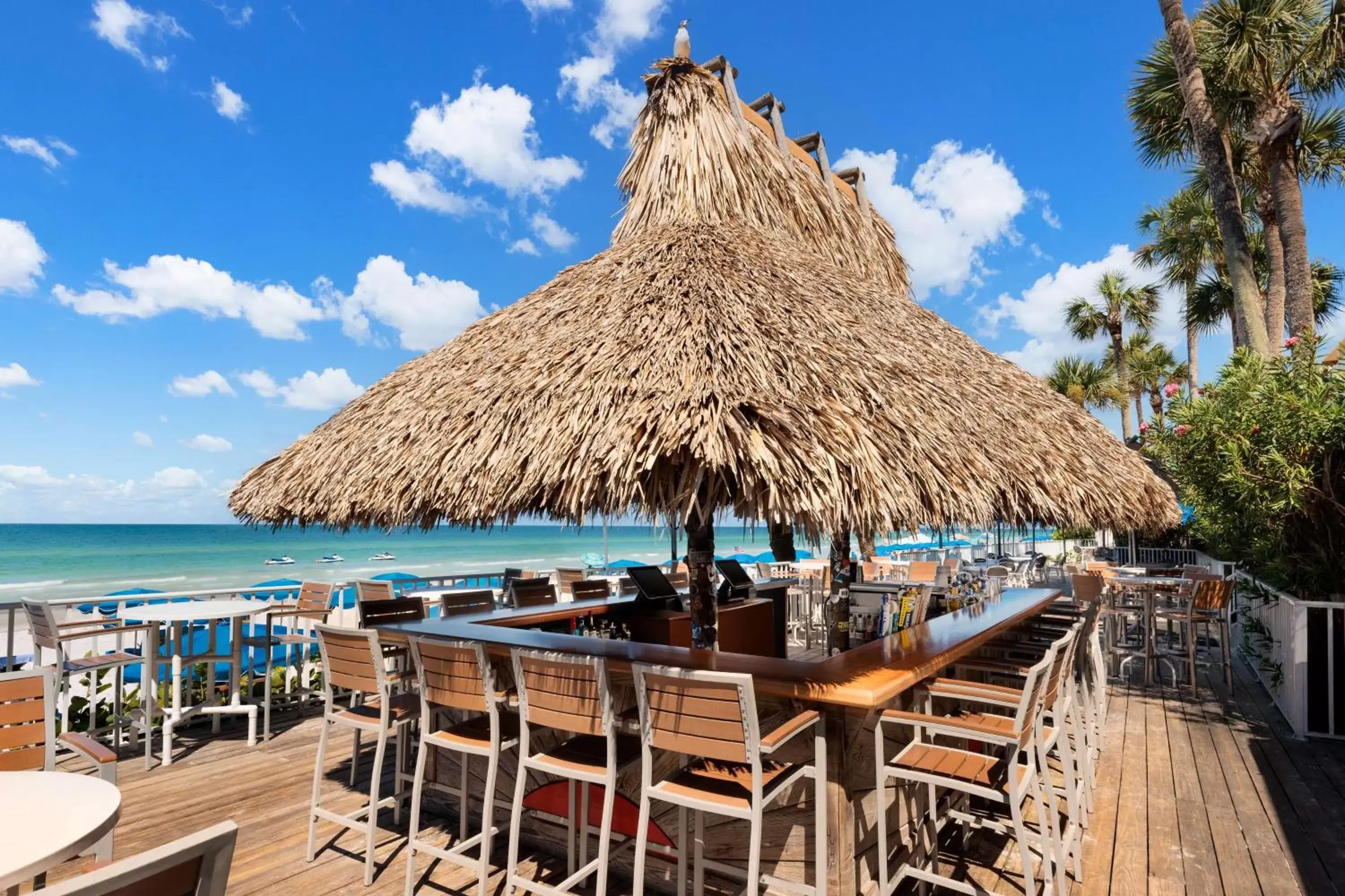 Lounge or bar, Beach in DoubleTree Beach Resort by Hilton Tampa Bay – North Redington Beach