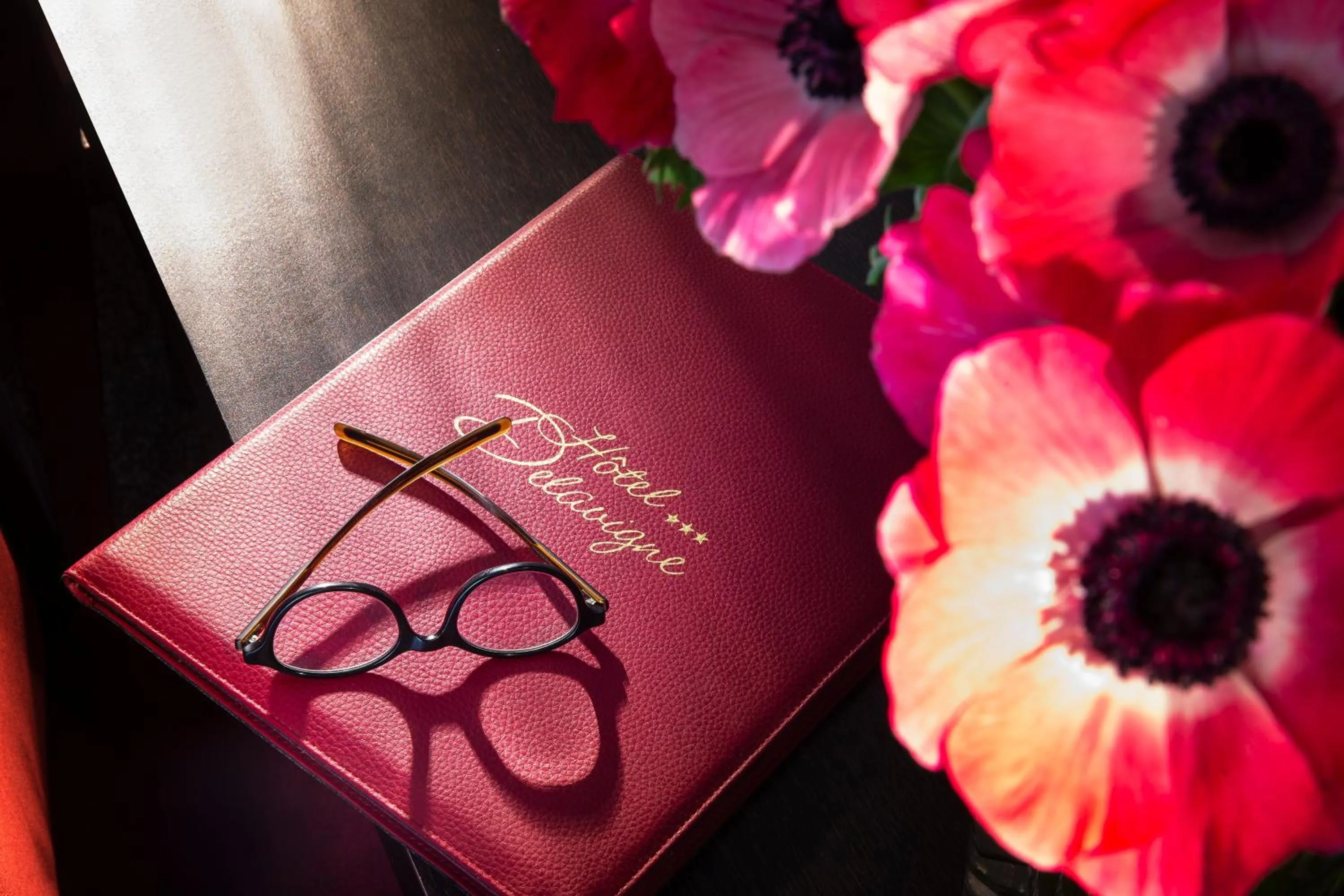 Property logo or sign in Hôtel Delavigne