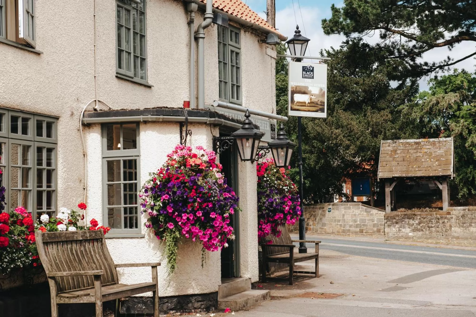 Other in The Wellington Heifer