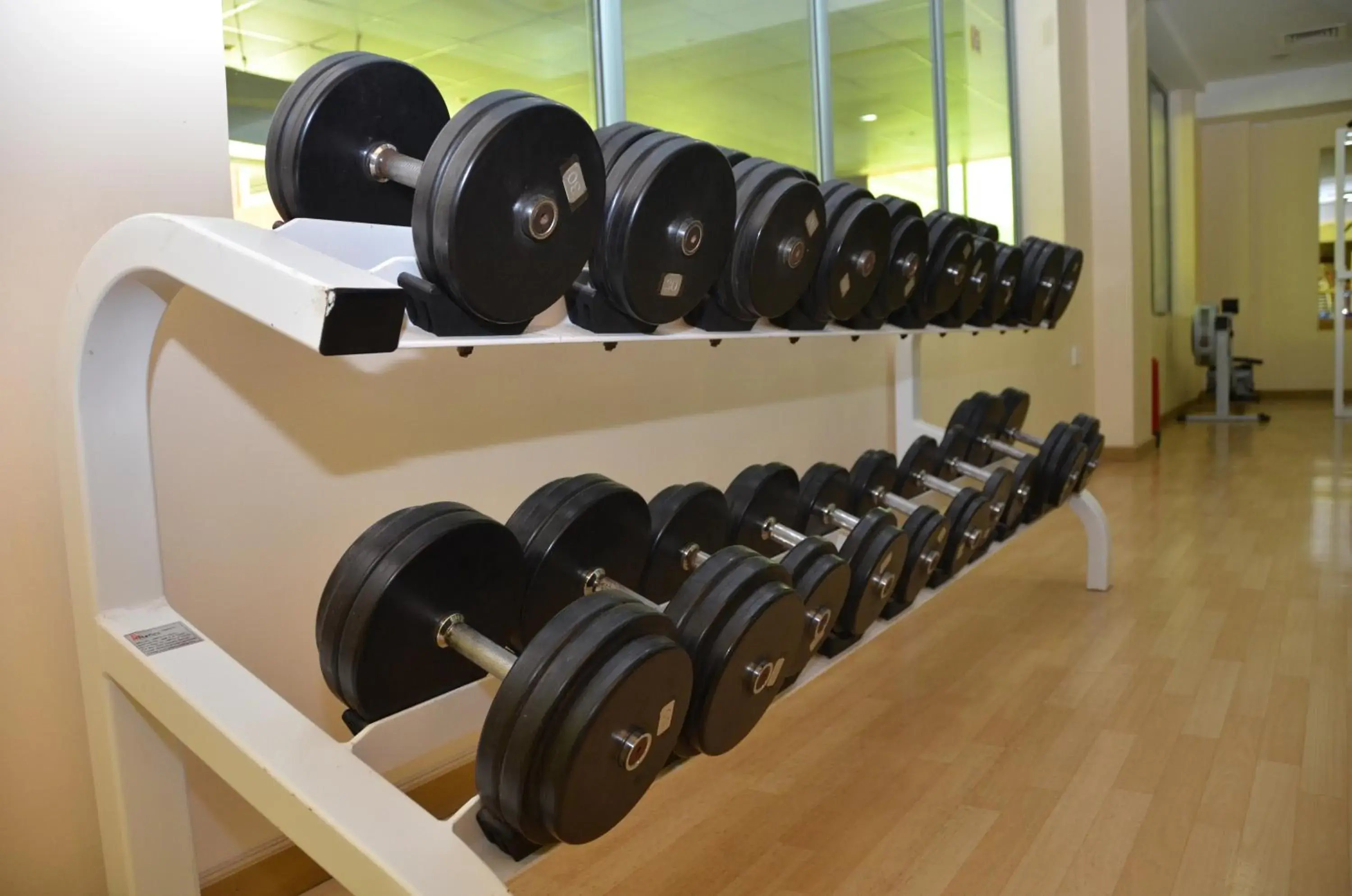 Fitness centre/facilities, Fitness Center/Facilities in Pars International Hotel