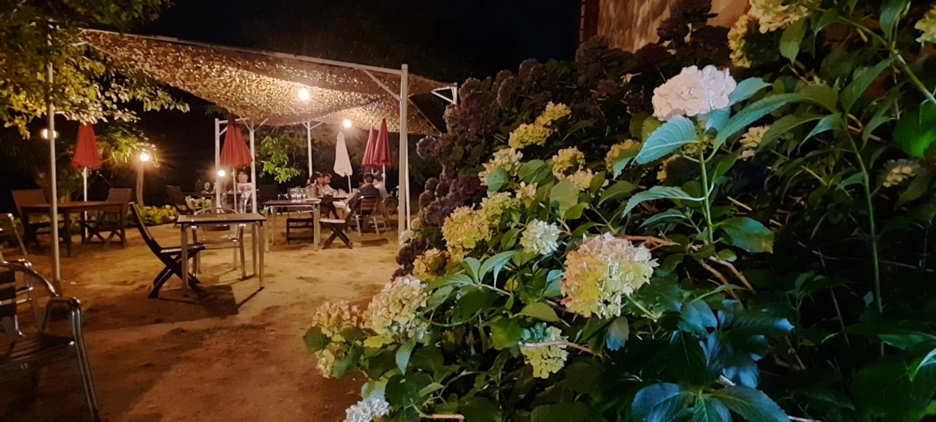 Dinner in Rectoral de Anllo