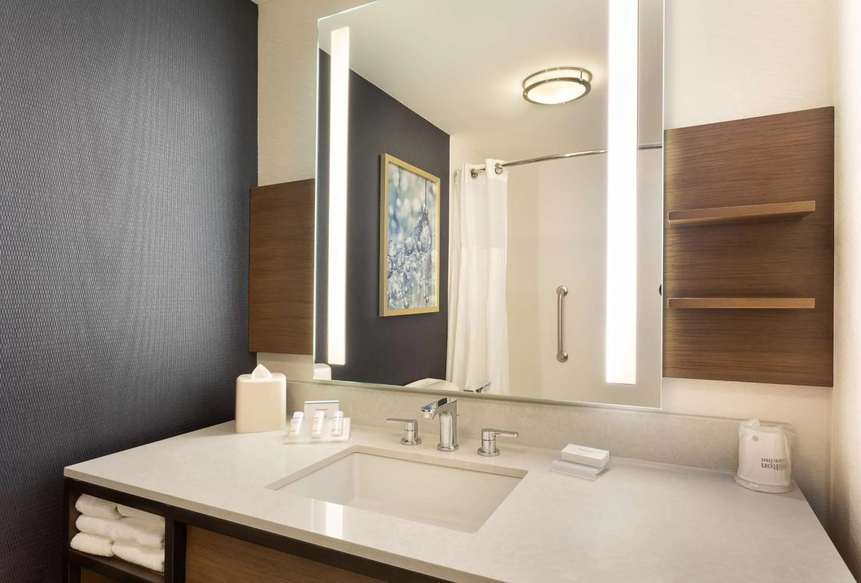 Bathroom in Hilton Garden Inn Melville